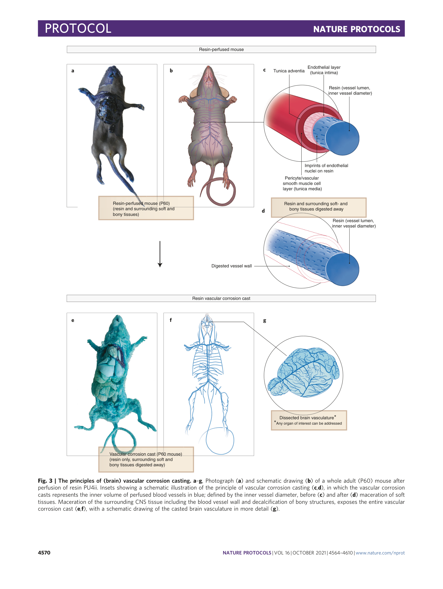 page-7