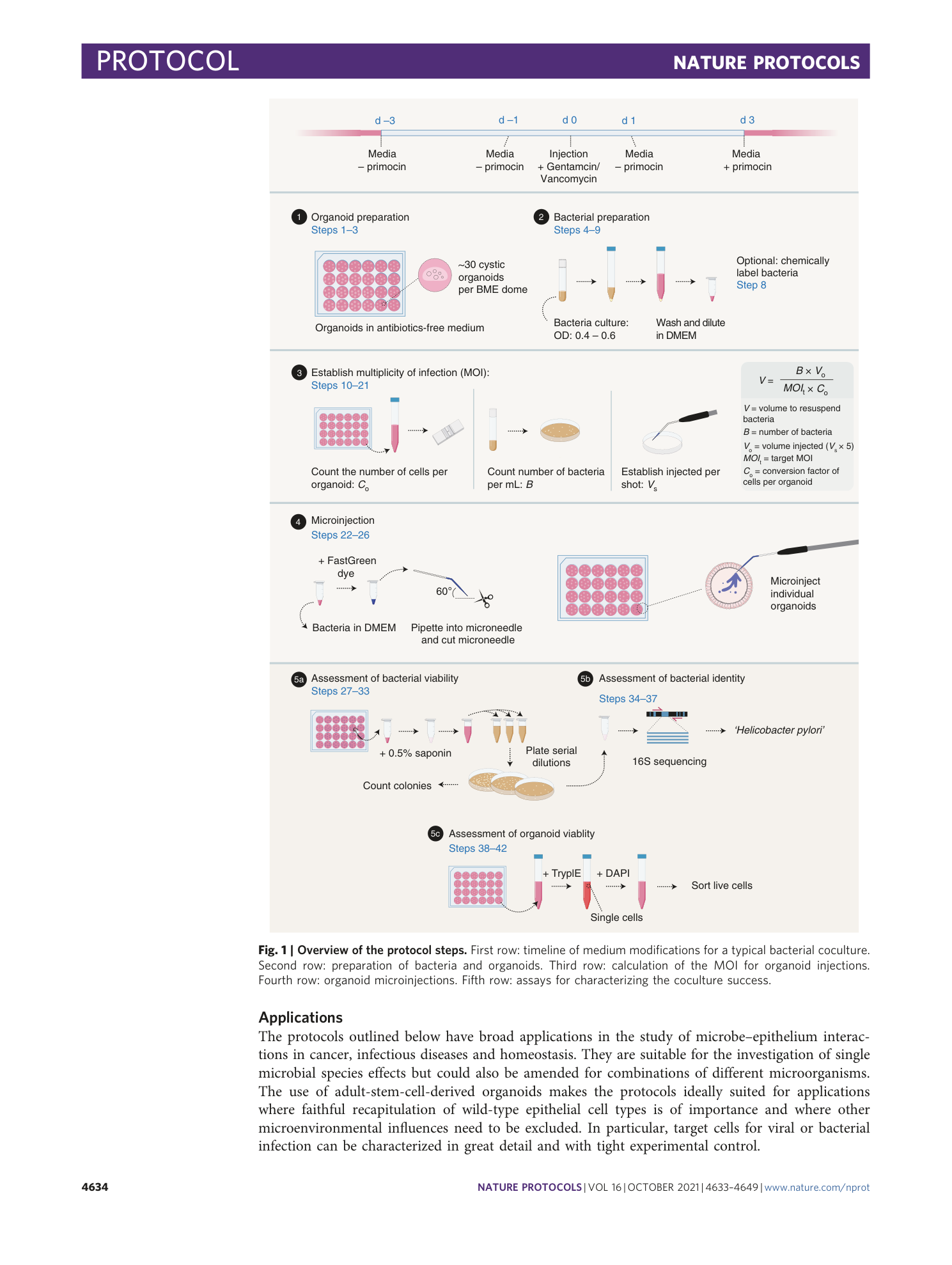 page-2