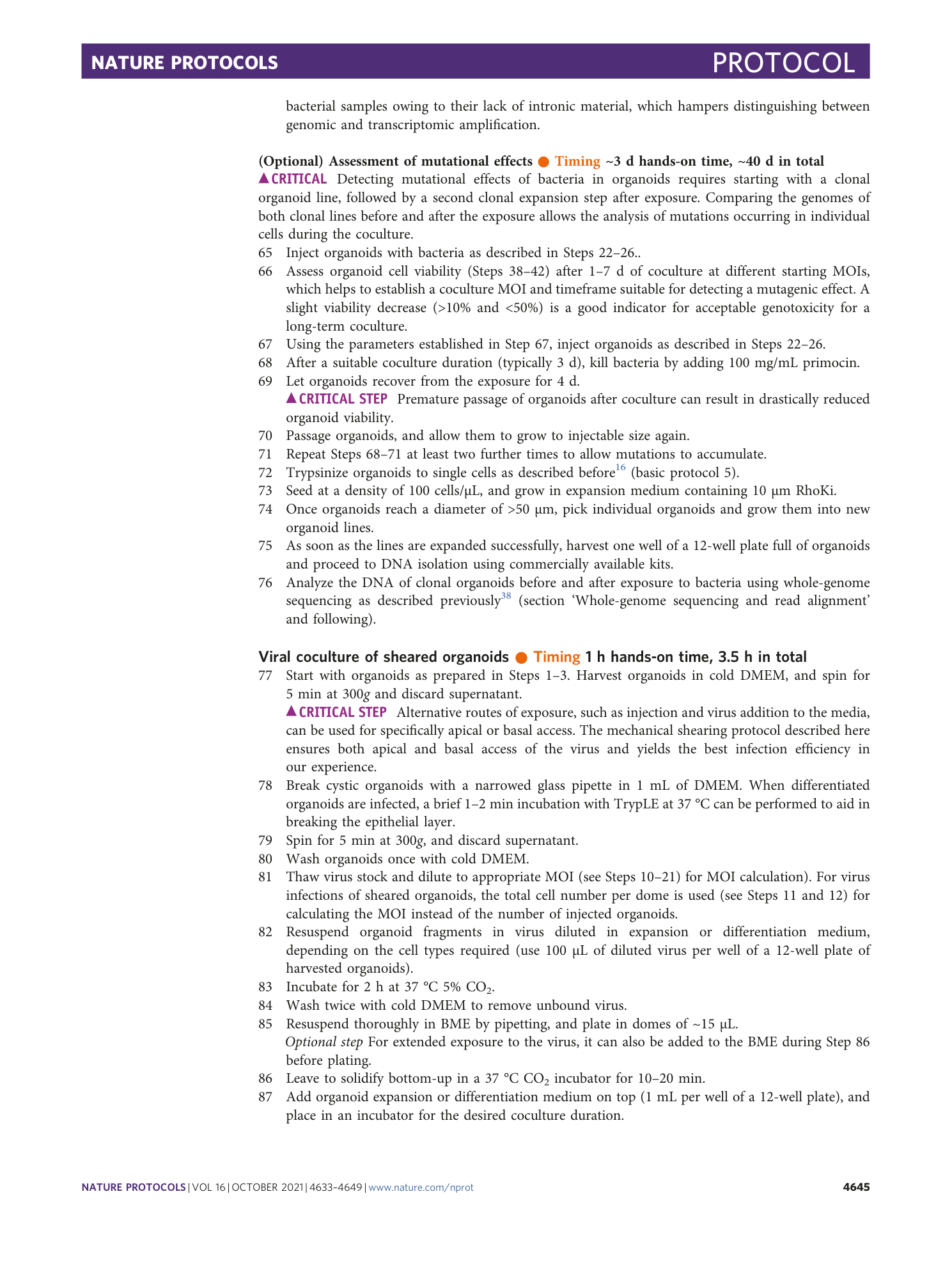 page-13