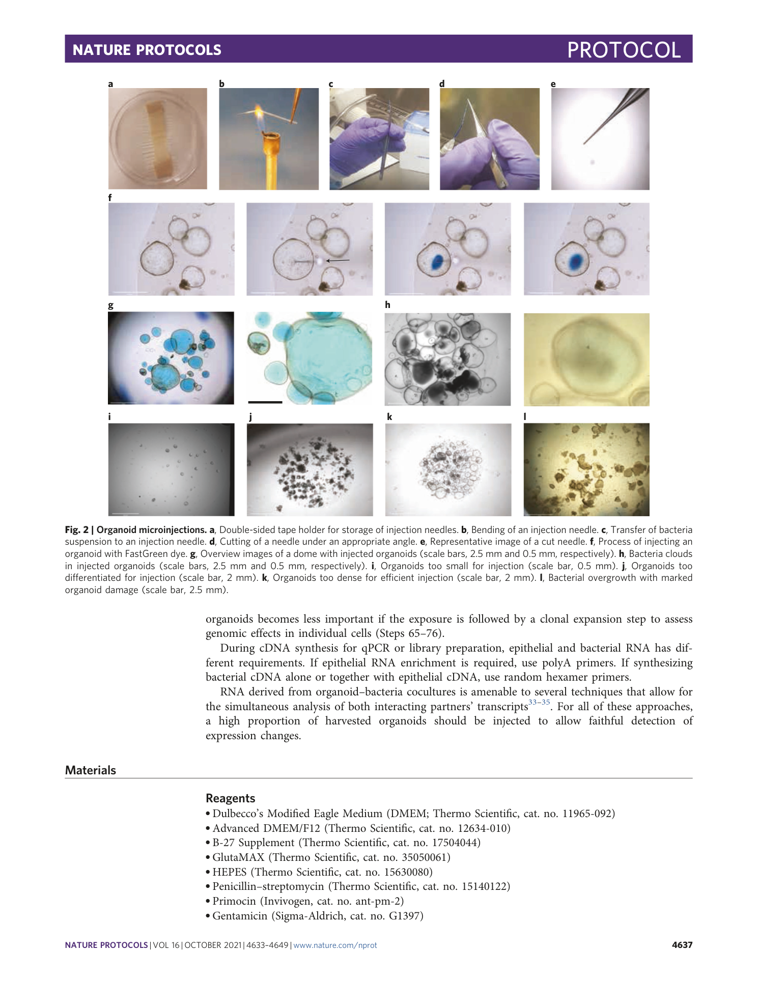 page-5