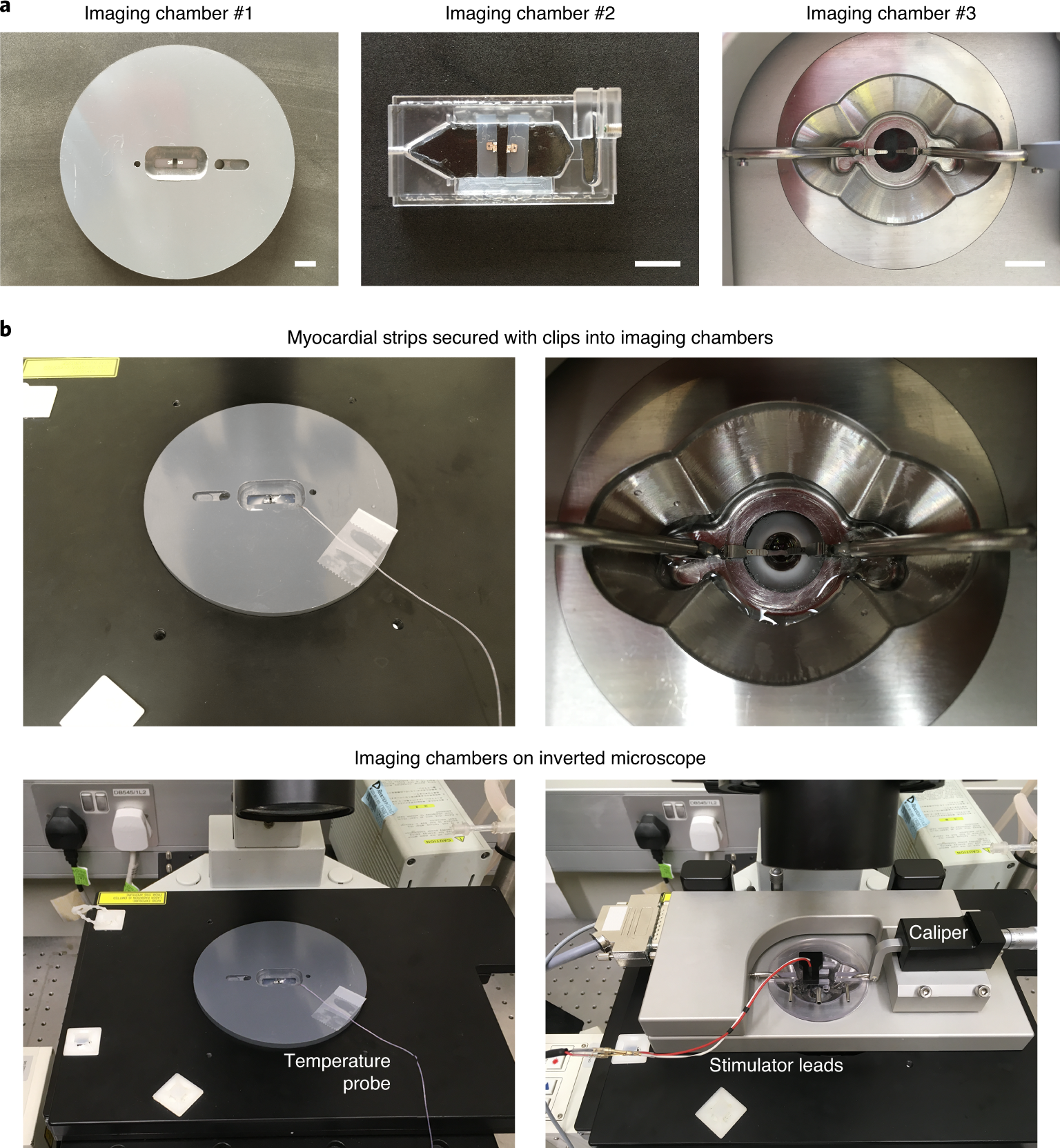 Fig. 1: Images of the three imaging chambers and mounted myocardial strips.