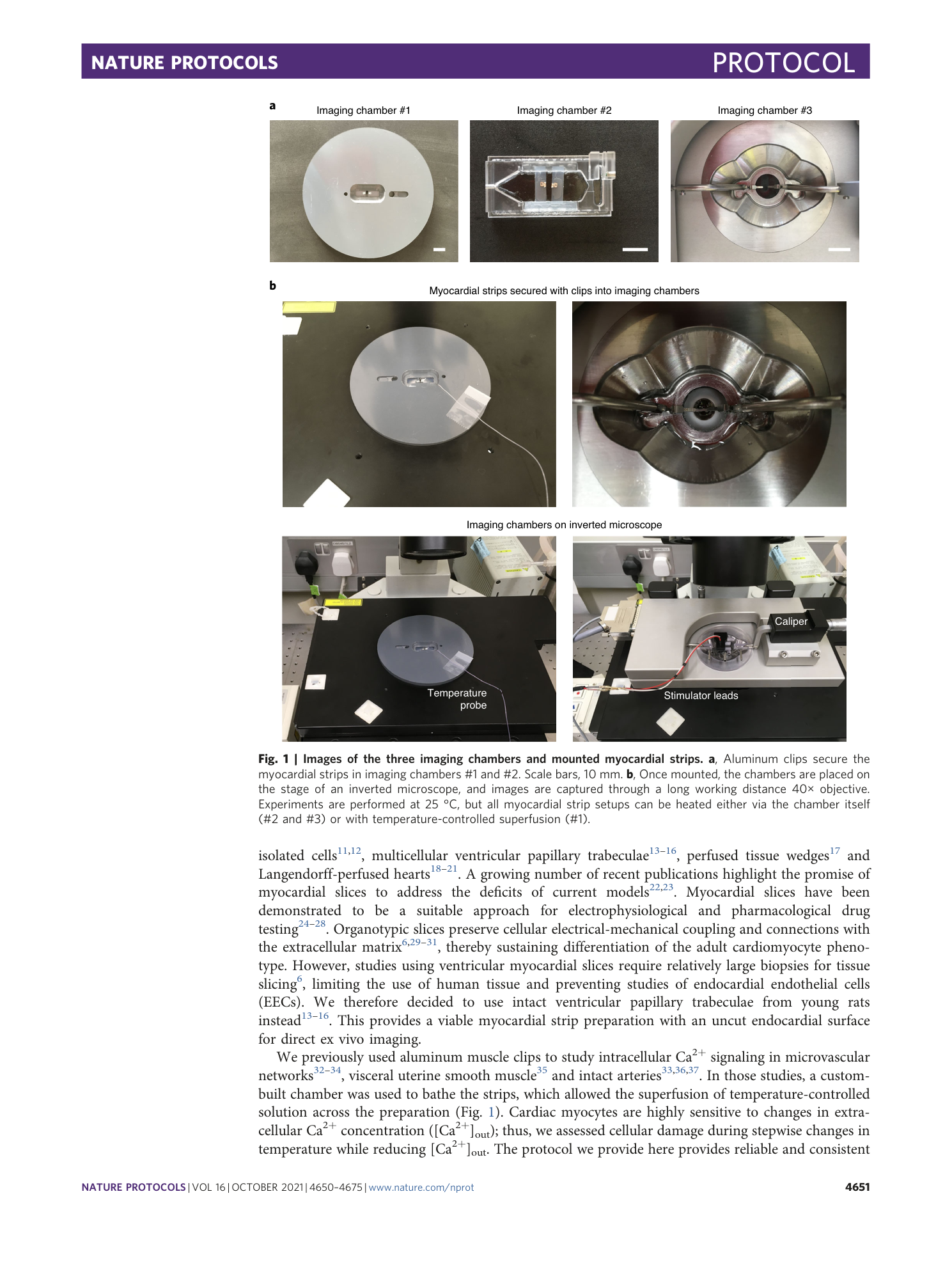 page-2