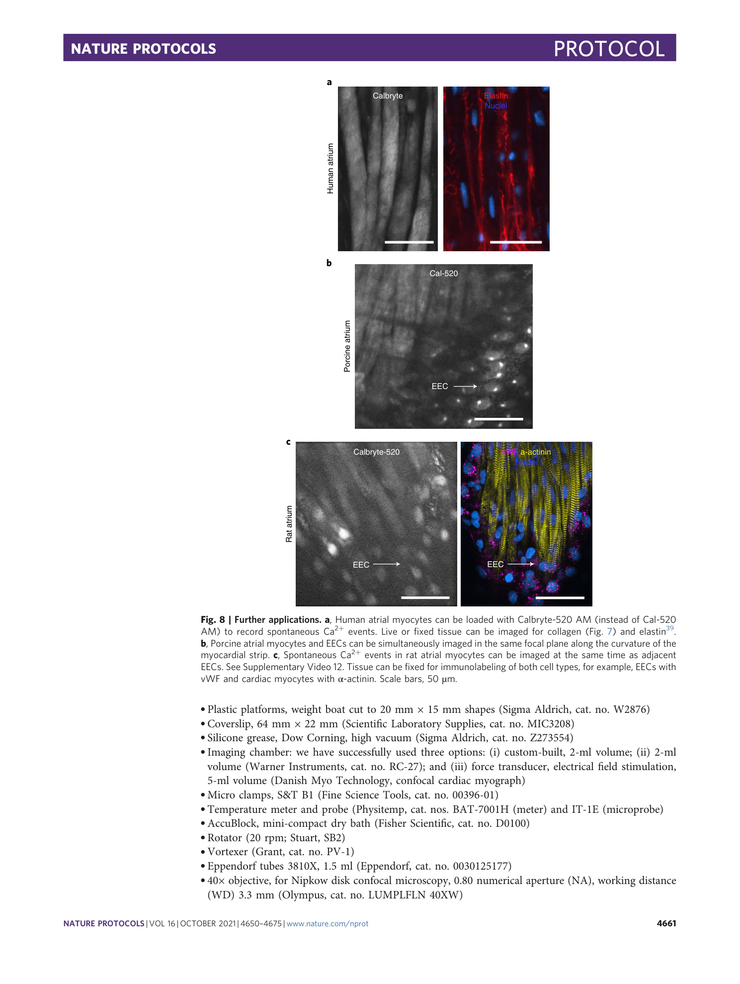 page-12