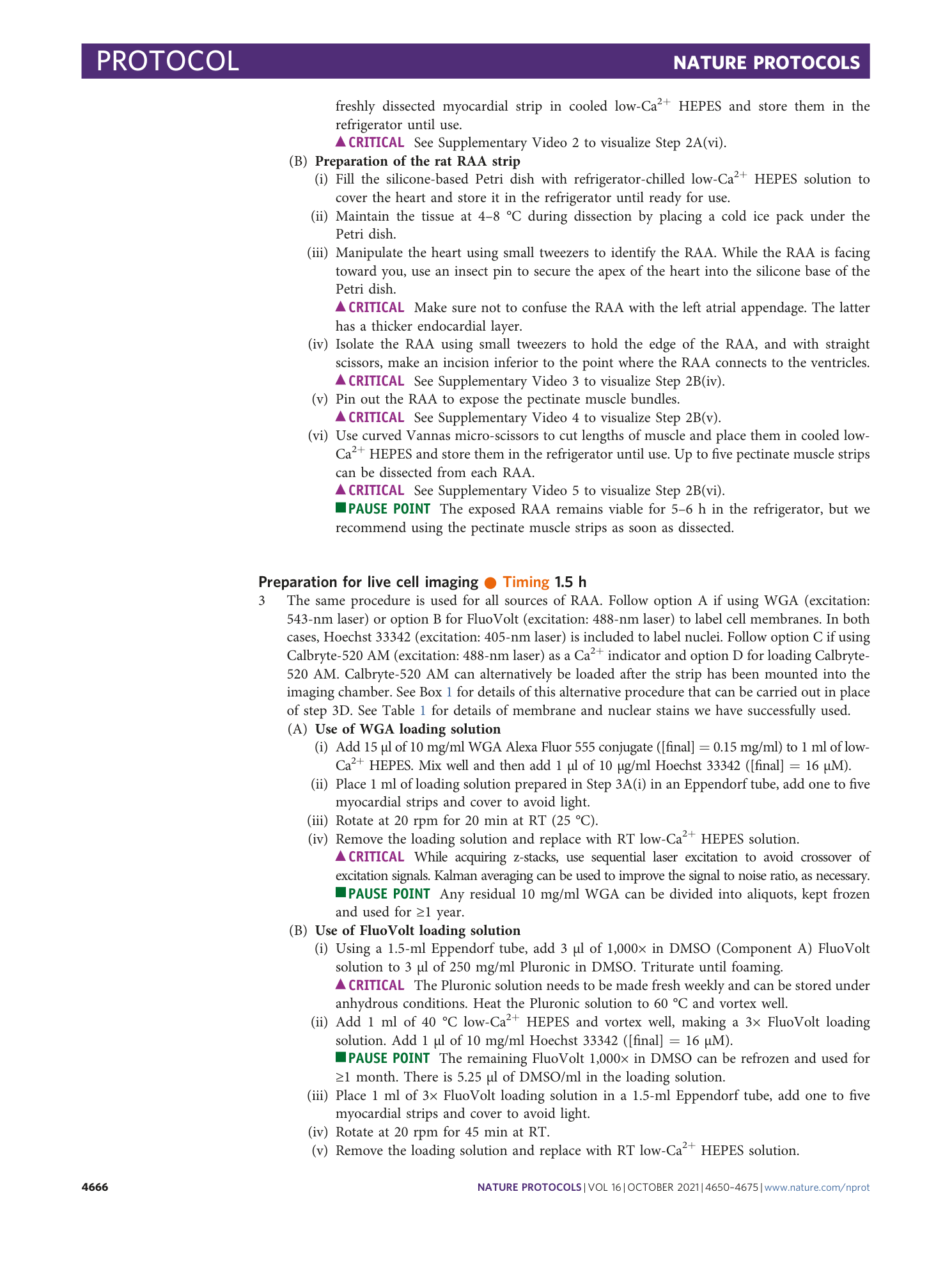 page-17