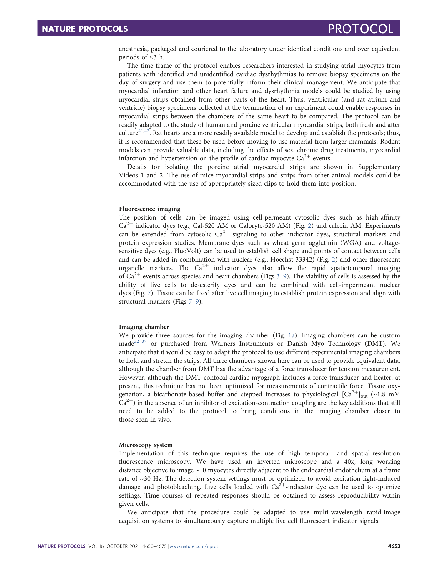 page-4