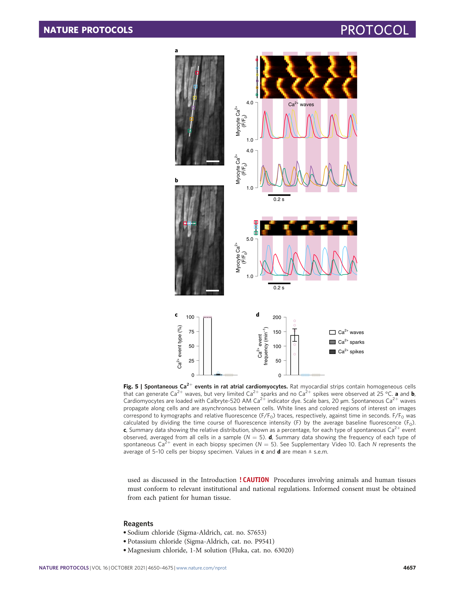 page-8