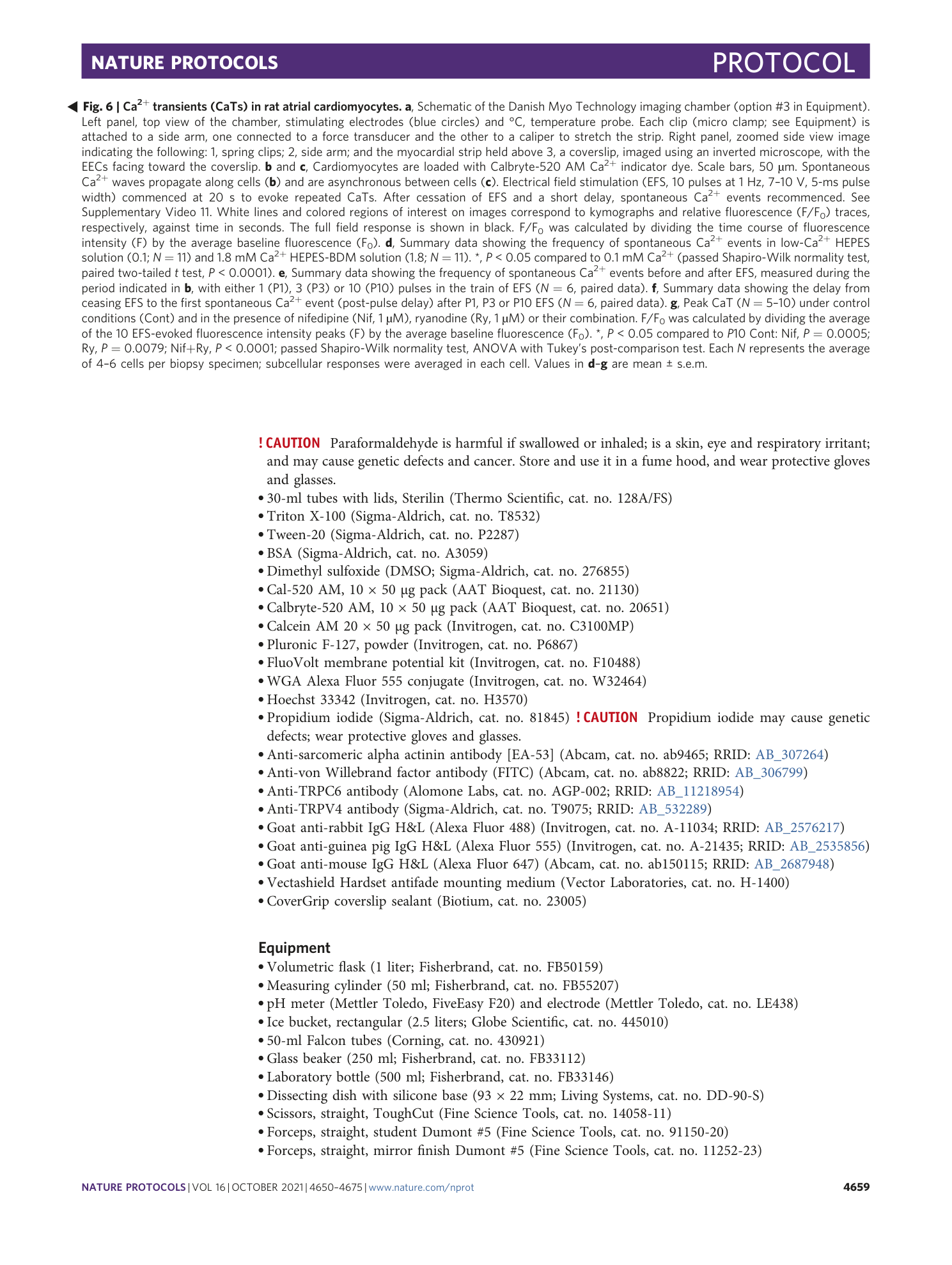 page-10