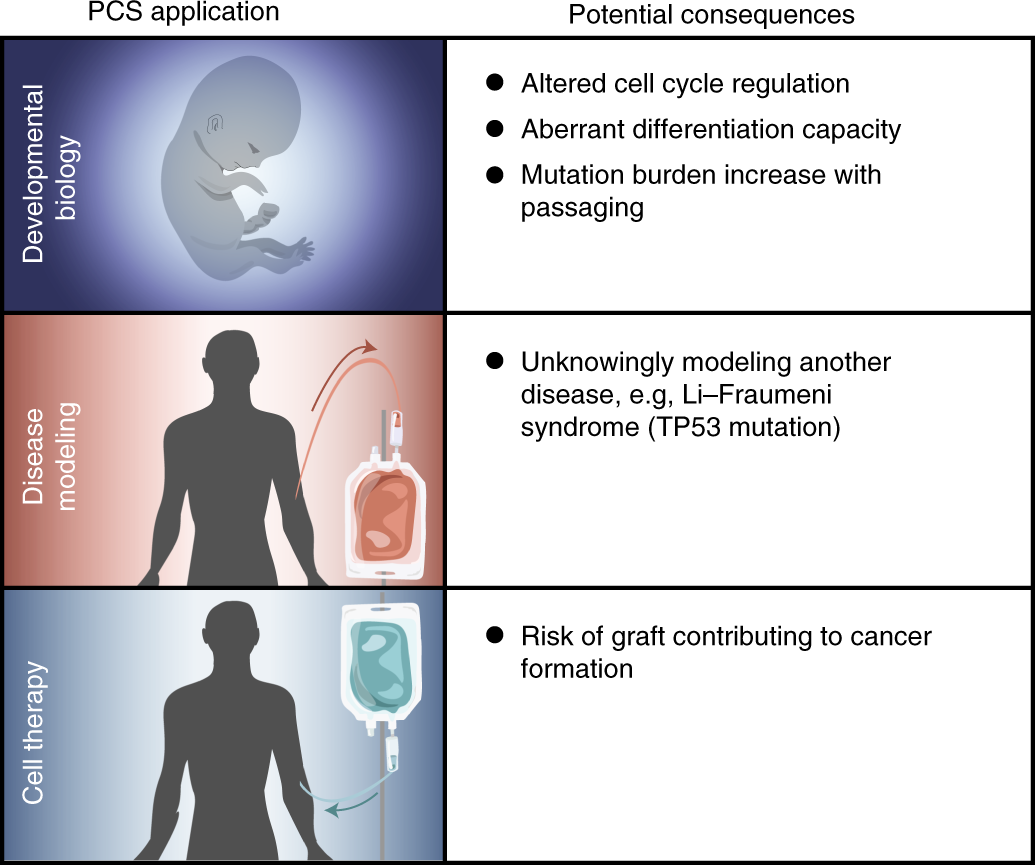 Fig. 1: Relevance of cancer-related point mutations in hPCSs.