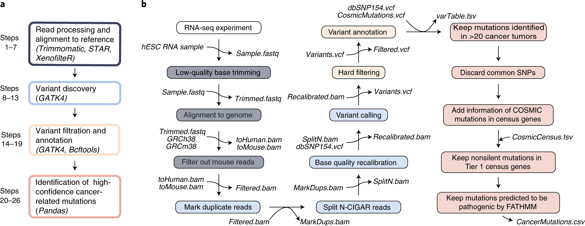 Fig. 2: Schematic representation of the pipeline for identification of cancer-related mutations in hPSCs from RNA-seq data.
