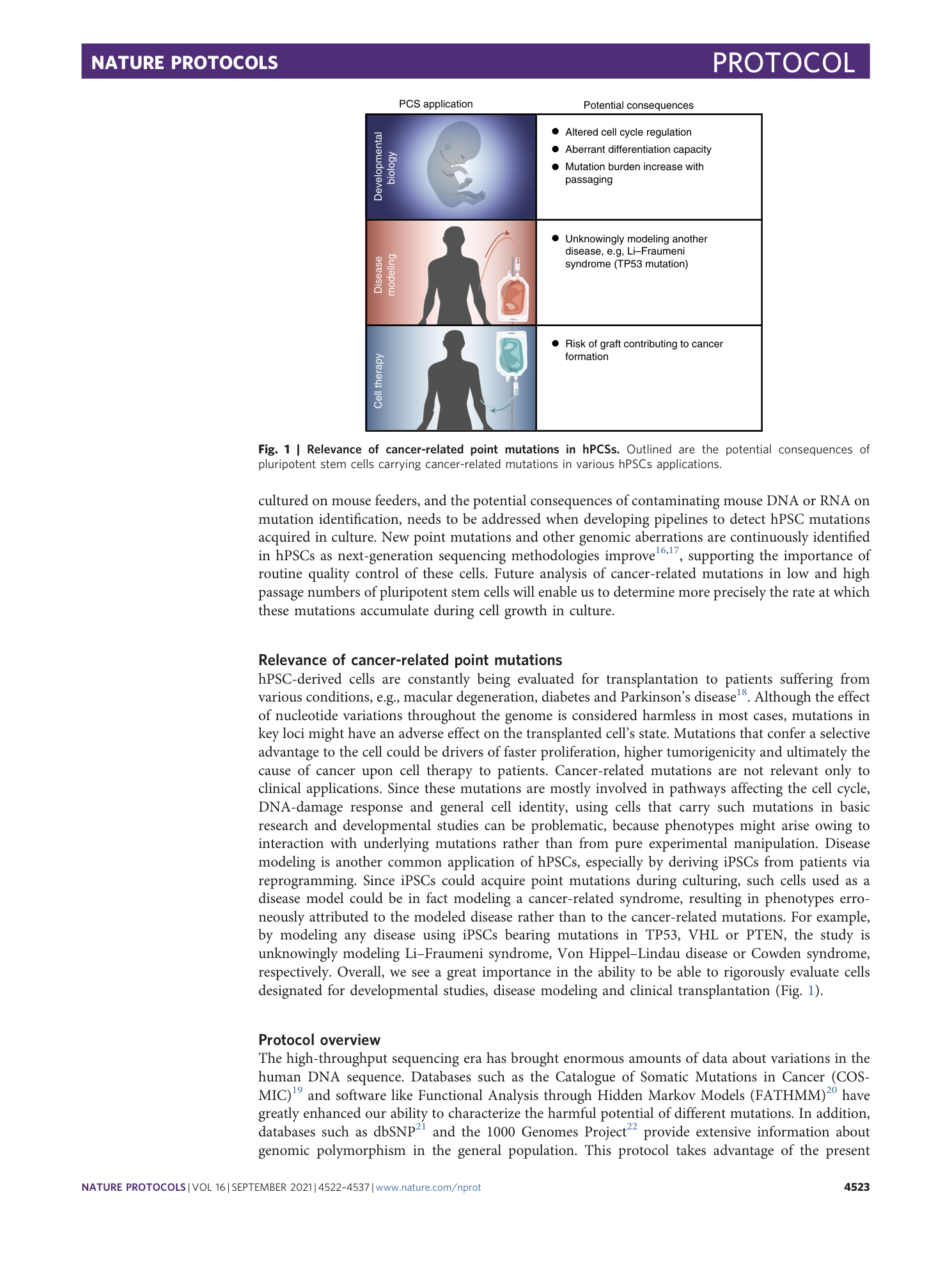 page-2
