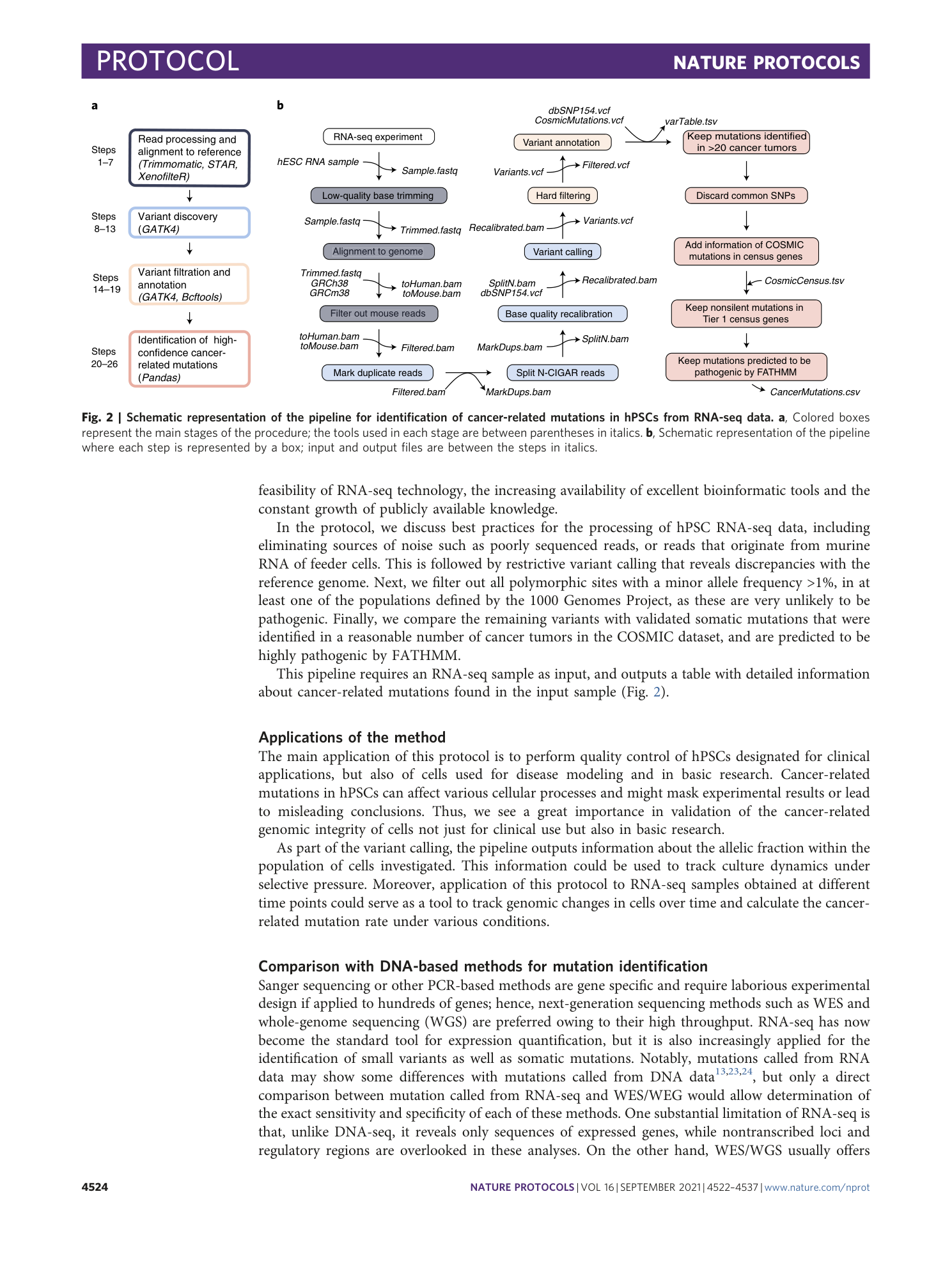 page-3