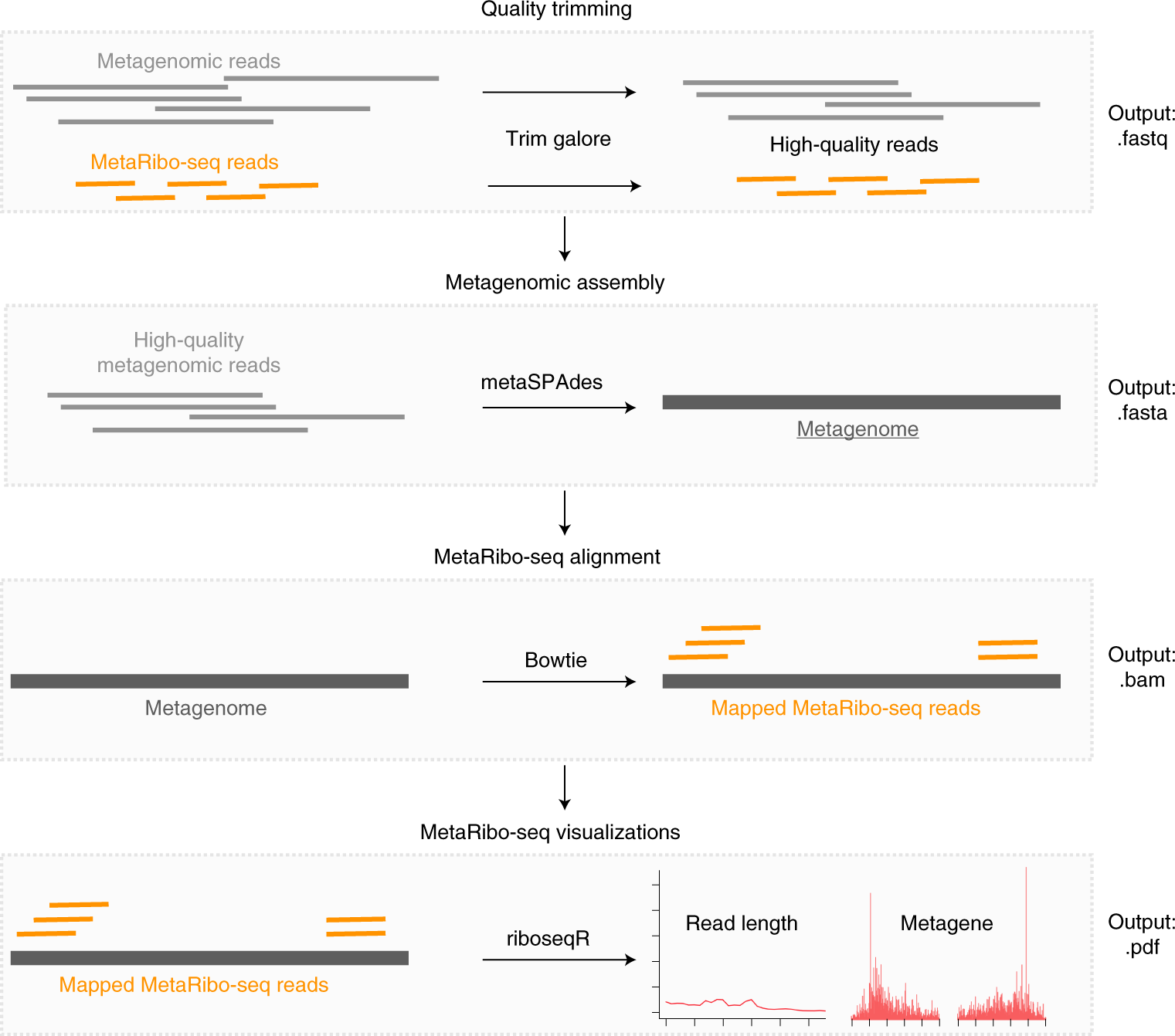 Fig. 2: MetaRibo-Seq bioinformatic workflow.