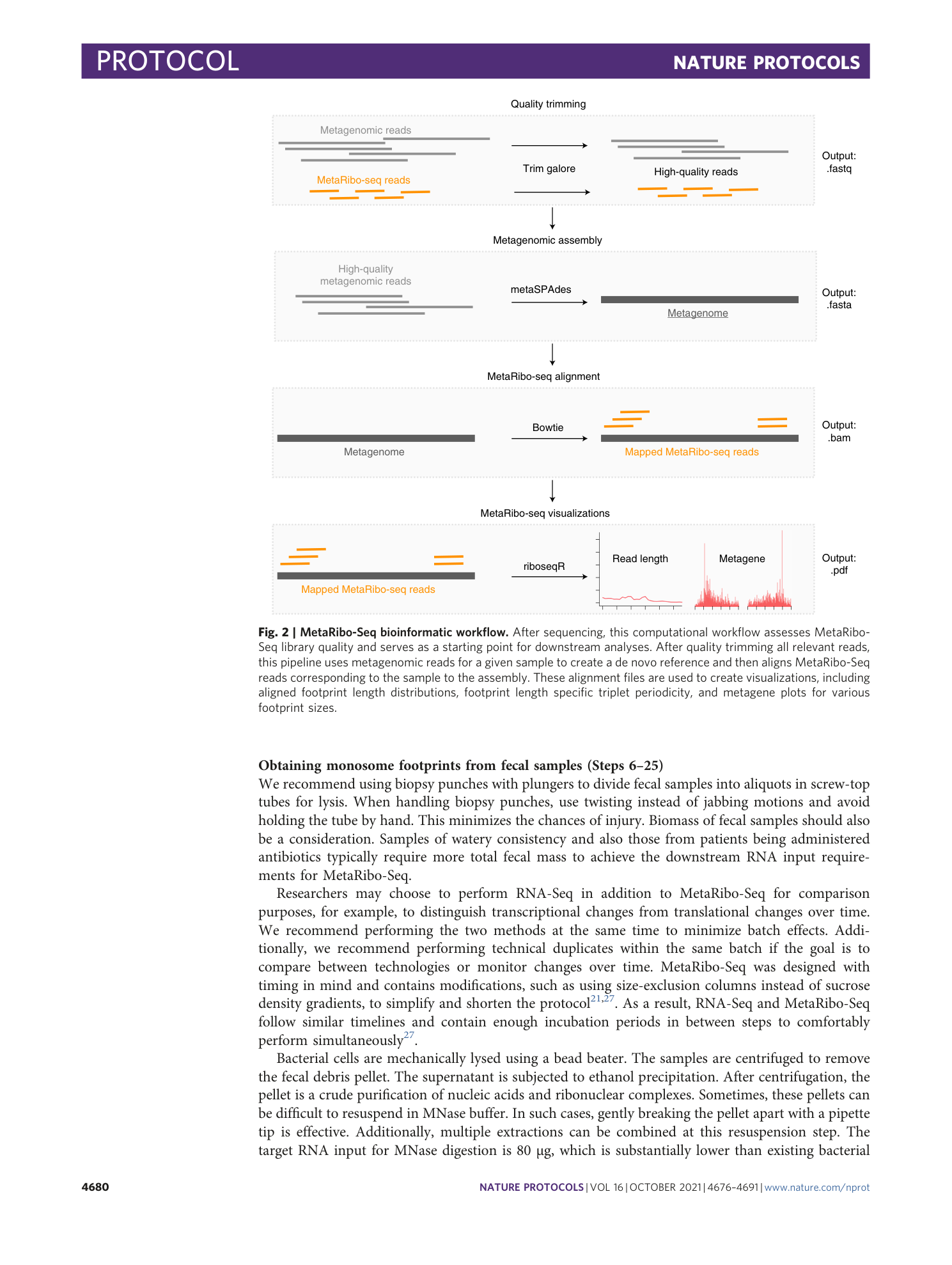 page-5