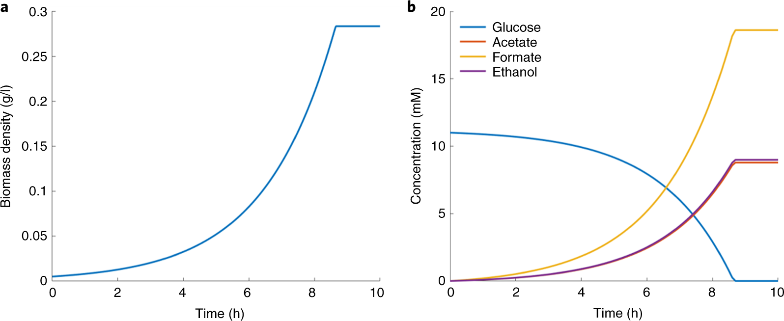Fig. 3: Growth of E. coli (core model) batch culture in minimal medium, with glucose as the only carbon source.