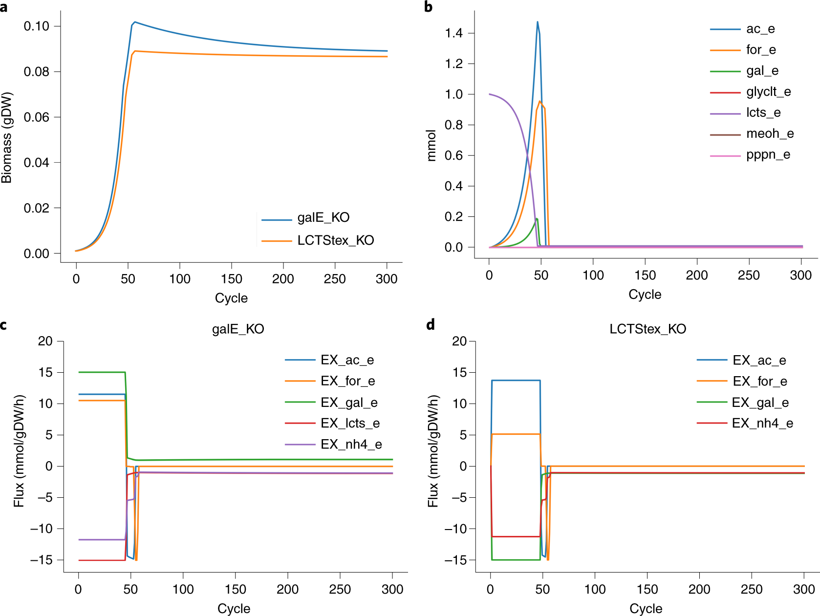 Fig. 4: Chemostat simulation of cross-feeding E. coli strains grown on lactose.