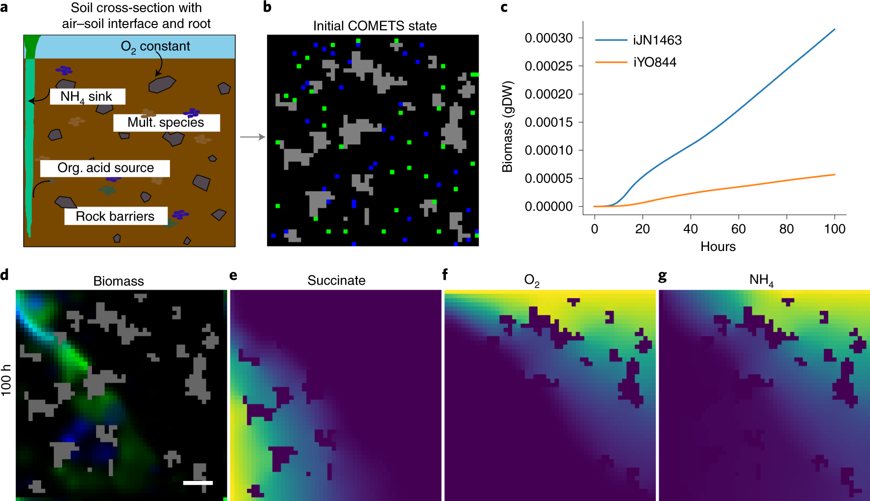 Fig. 8: Soil–air interface simulation.