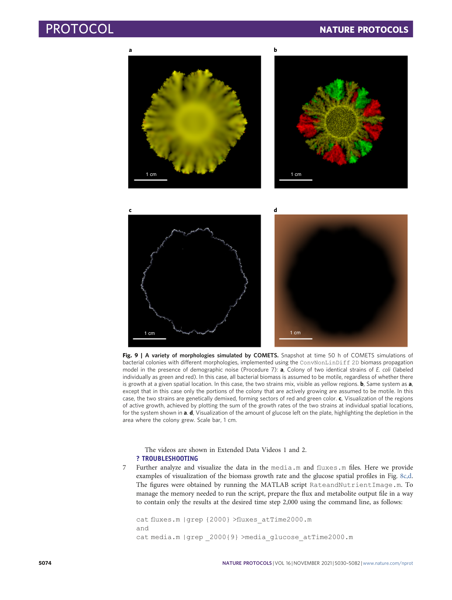 page-45