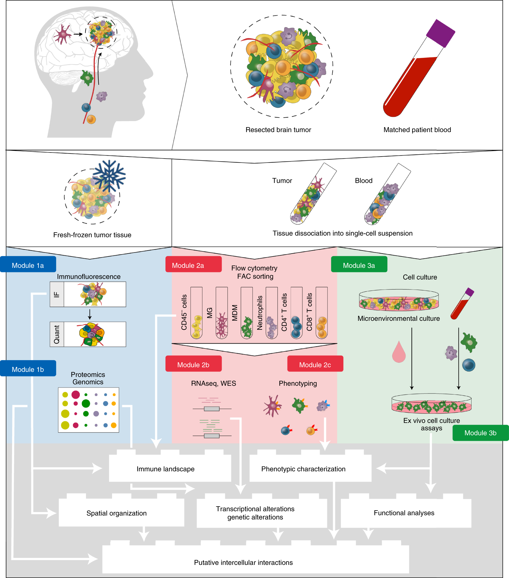 Fig. 1: Schematic overview of the different modules described in this protocol.