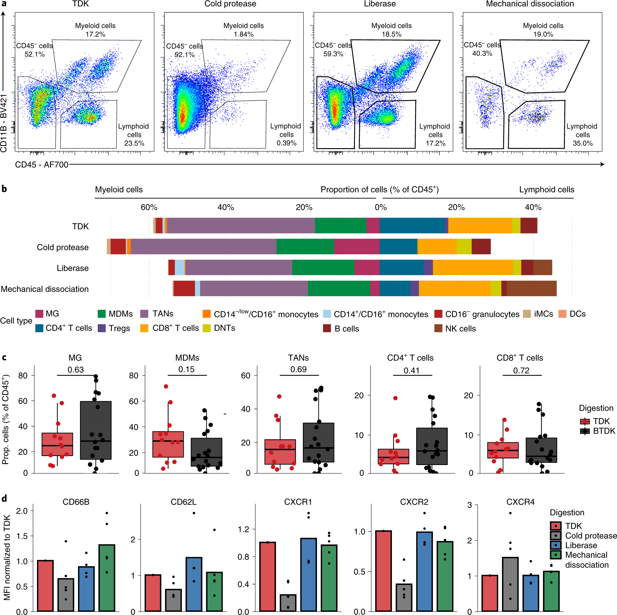 Fig. 5: Immune cell yield and activation in brain (tumor) tissues differs across tissue dissociation methods.