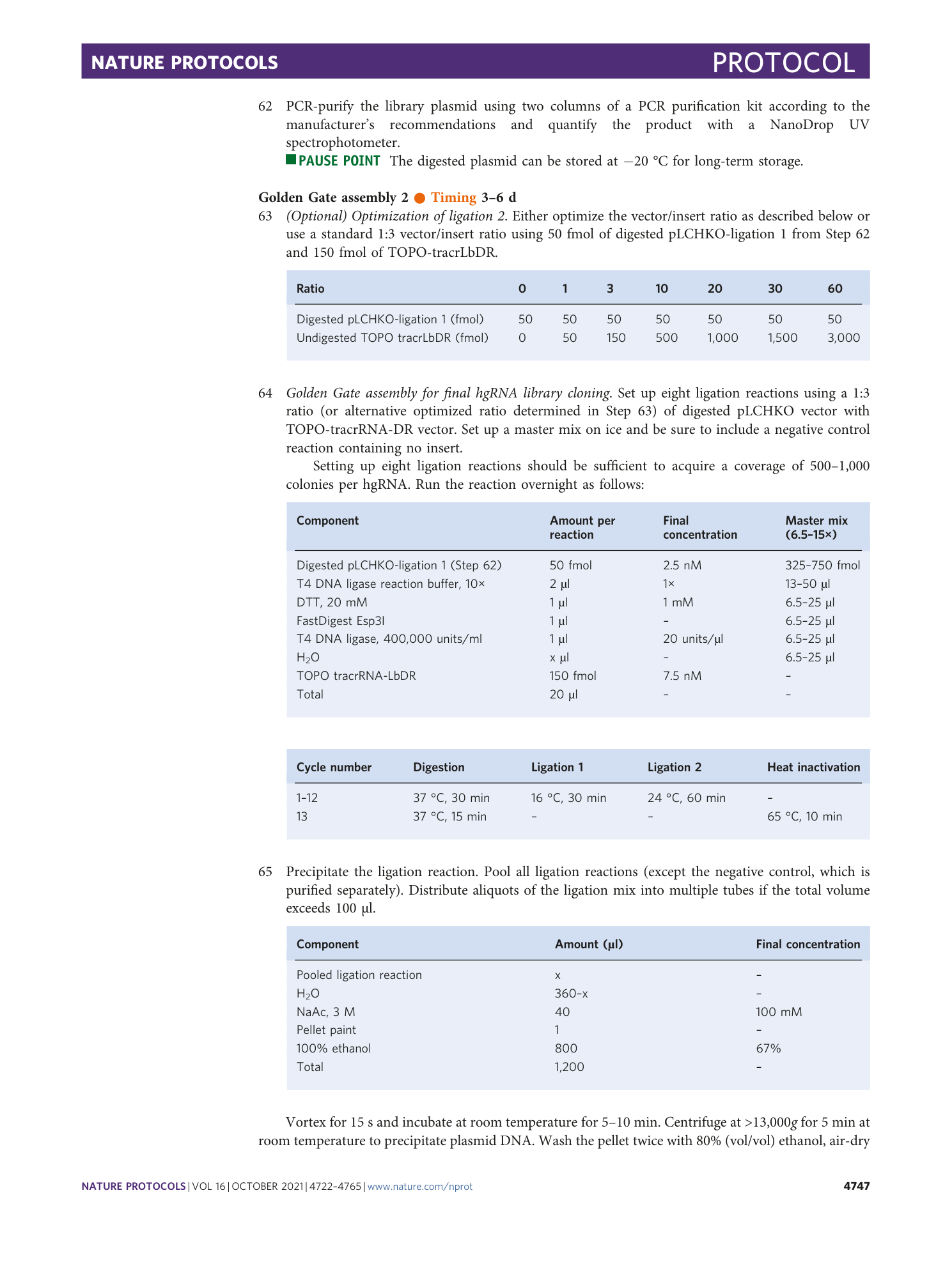 page-26