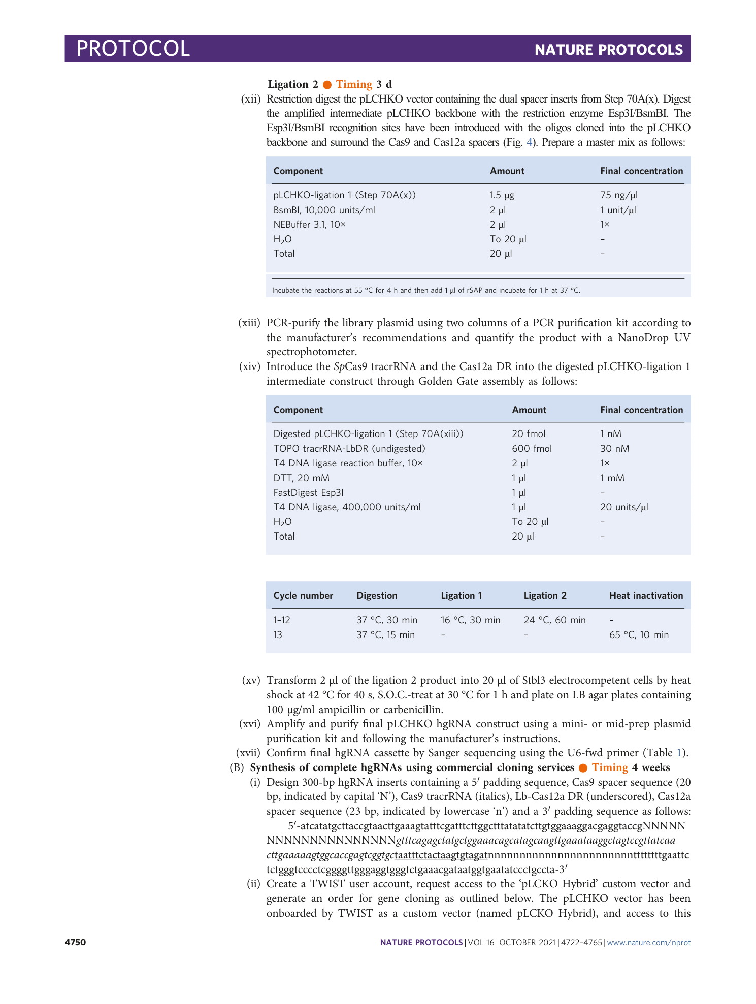 page-29