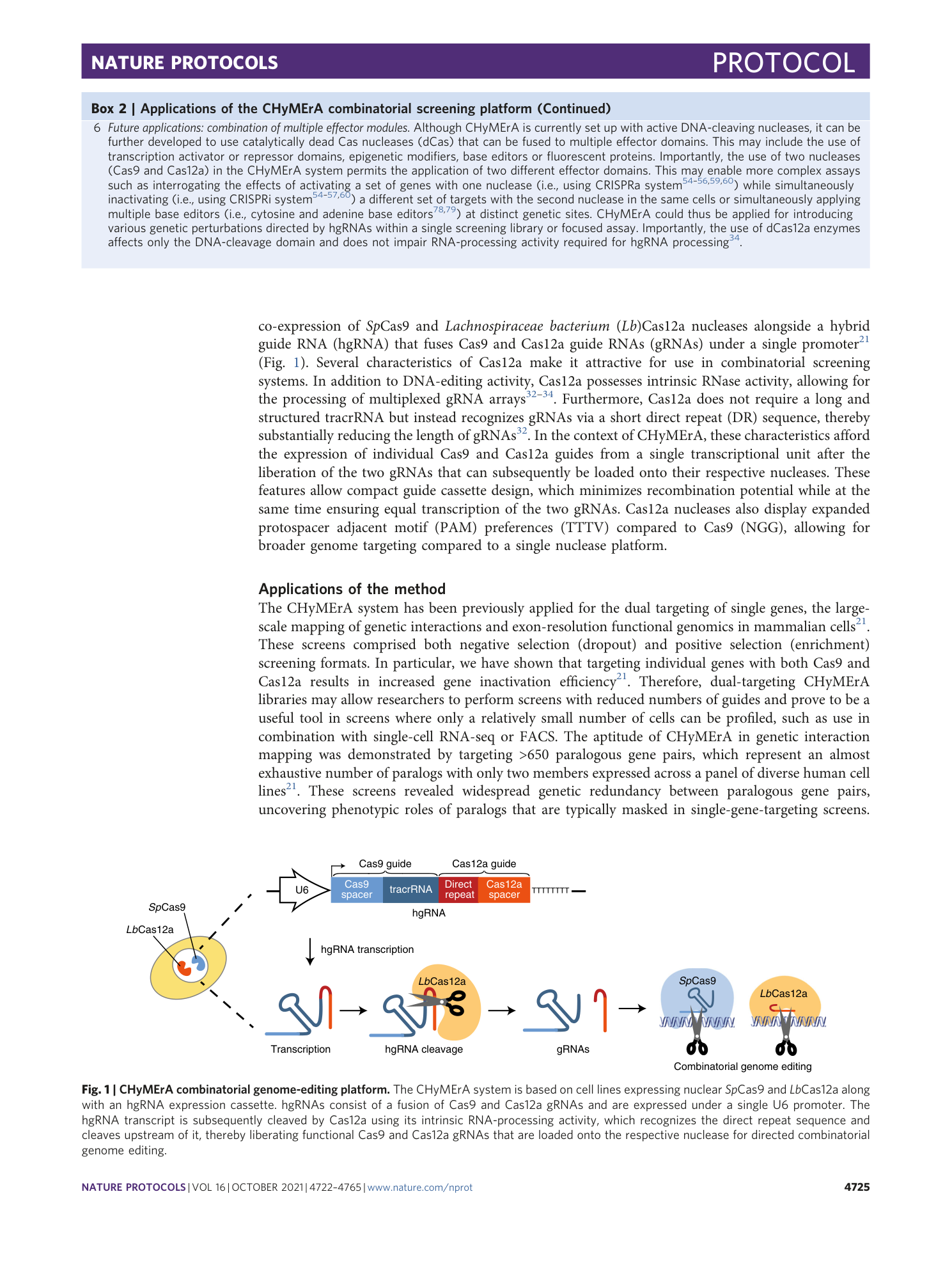 page-4