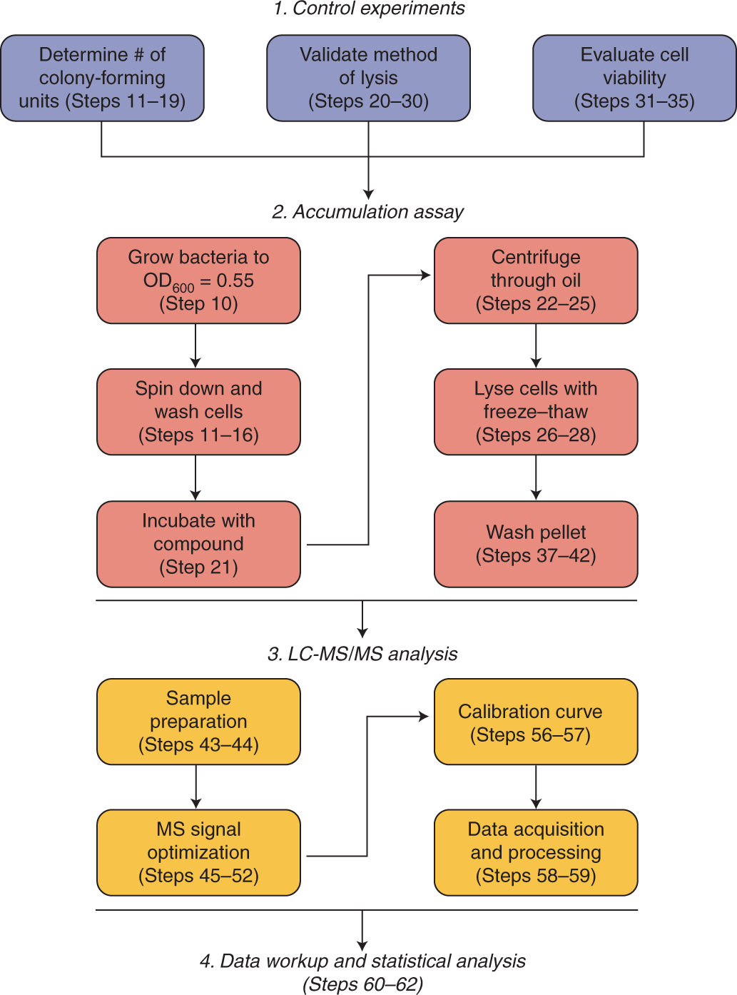 Fig. 1: Stages of the accumulation workflow.