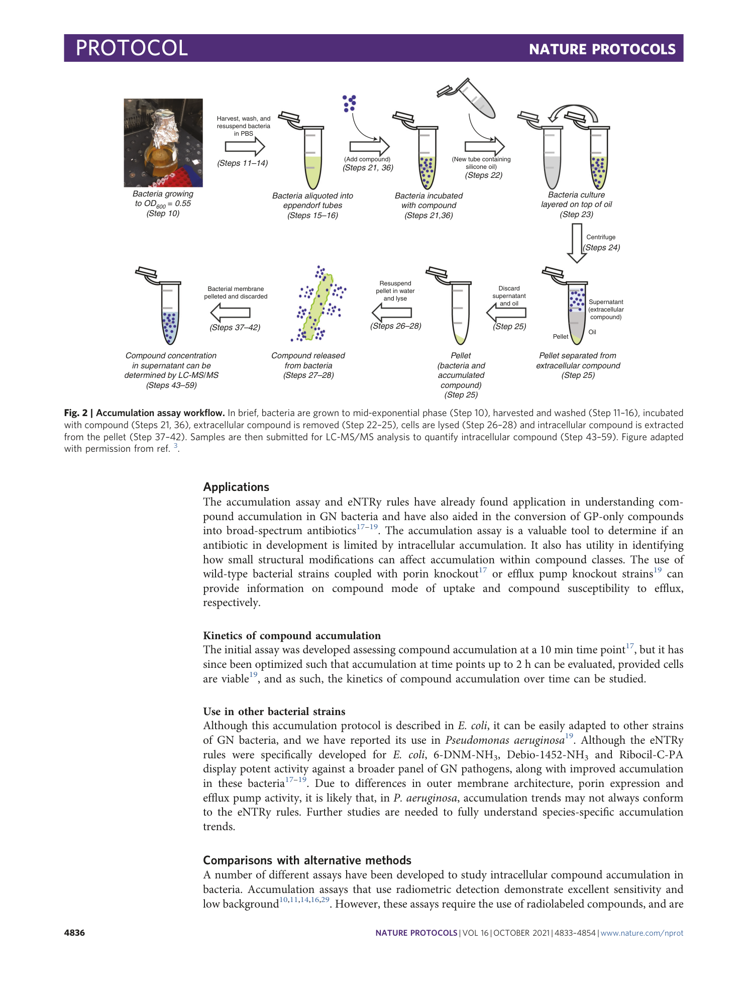 page-4