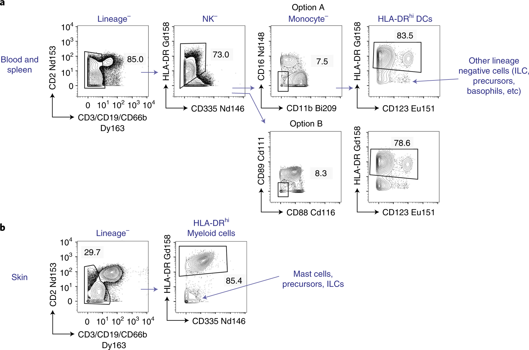 Fig. 5: Gating of DCs for unbiased analysis.