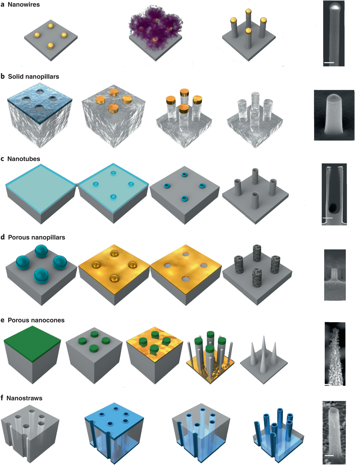 Fig. 3: Key steps for six common nanoneedle fabrication methods and representative scanning electron microscopy (SEM) images.