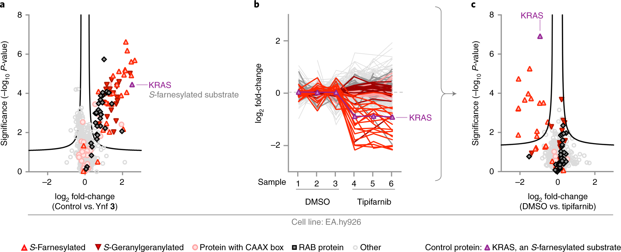 Fig. 7: Anticipated results: identifying and quantifying target engagement of lipid transferase inhibitors by using chemical proteomics.