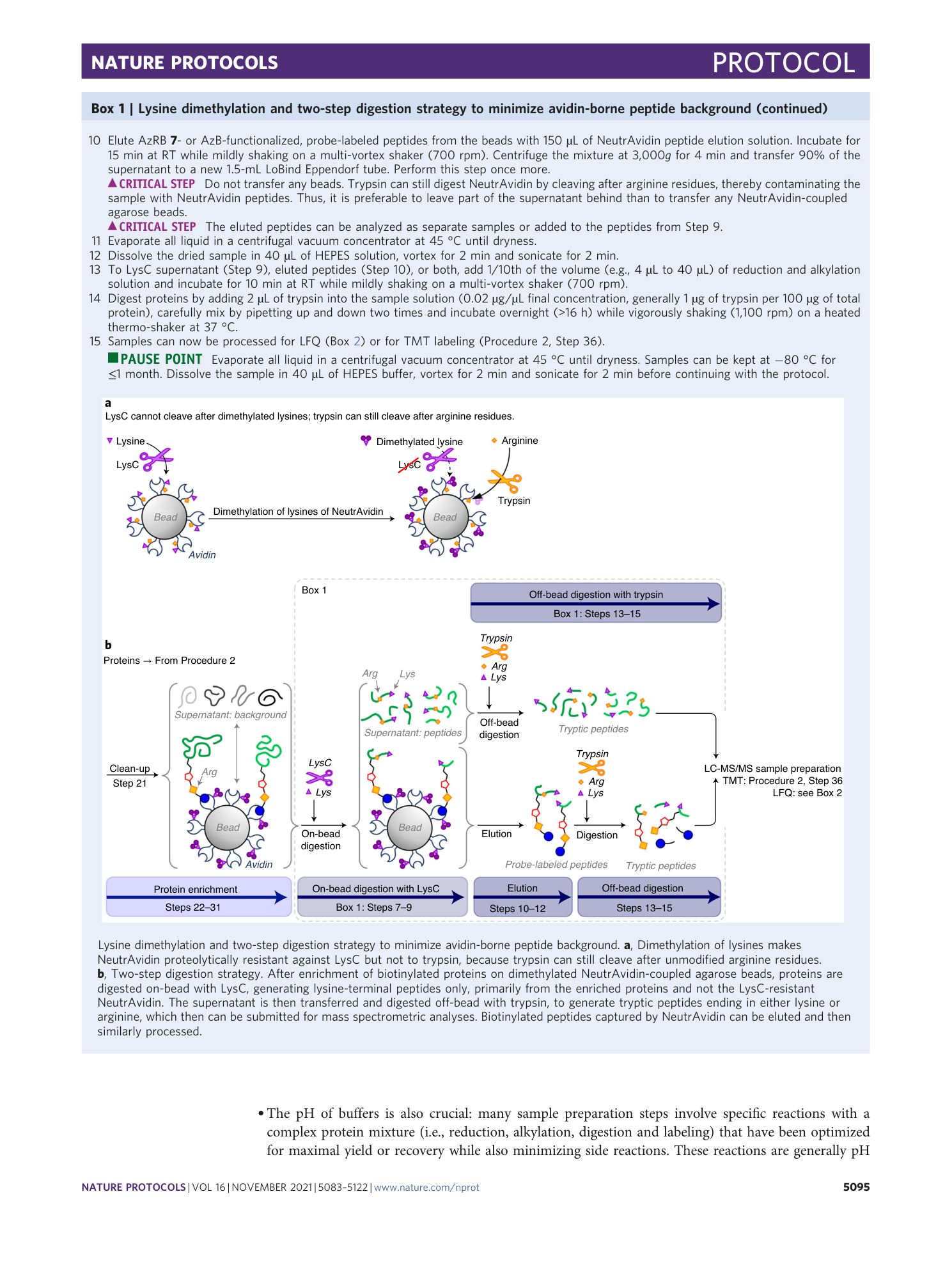 page-13