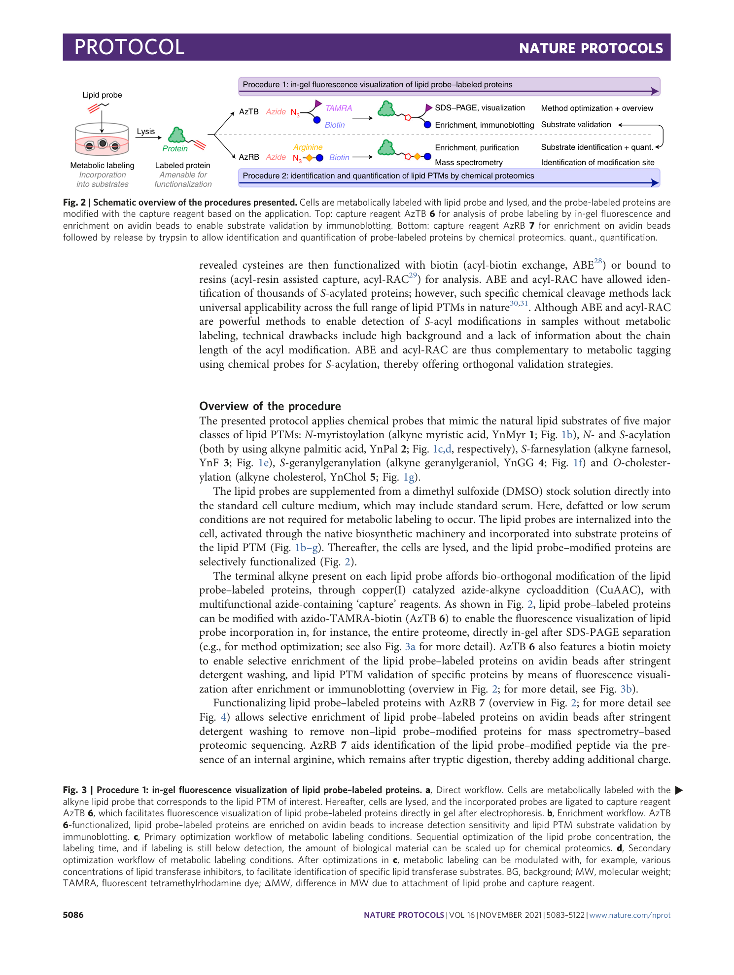 page-4