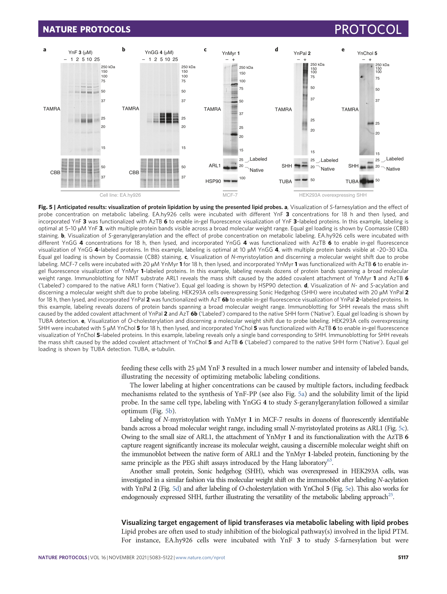 page-35