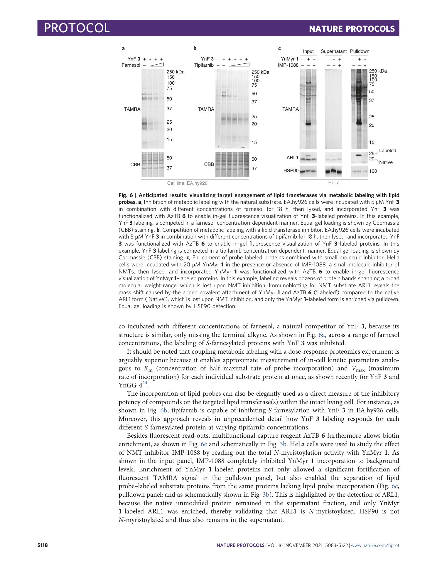 page-36