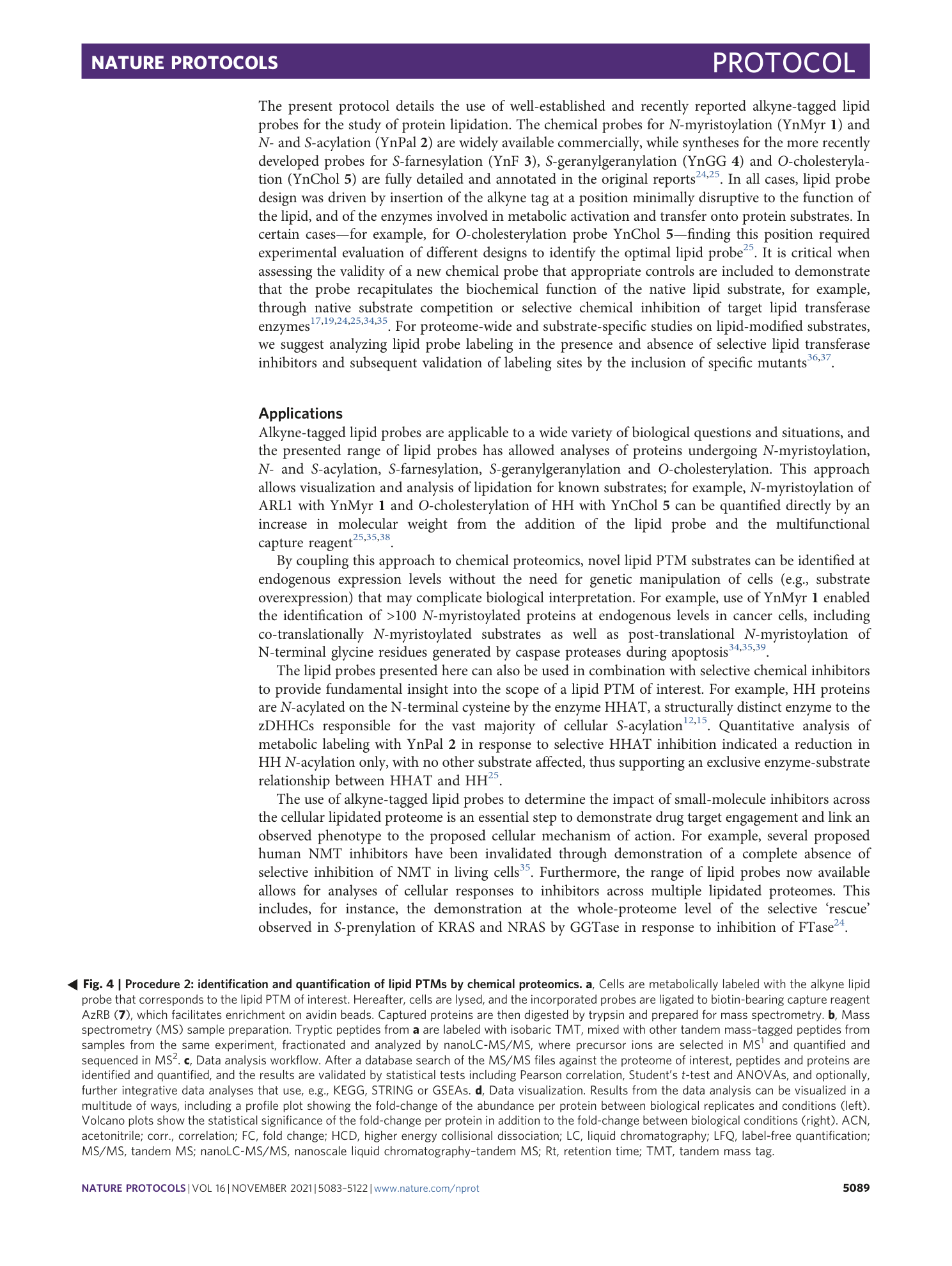 page-7