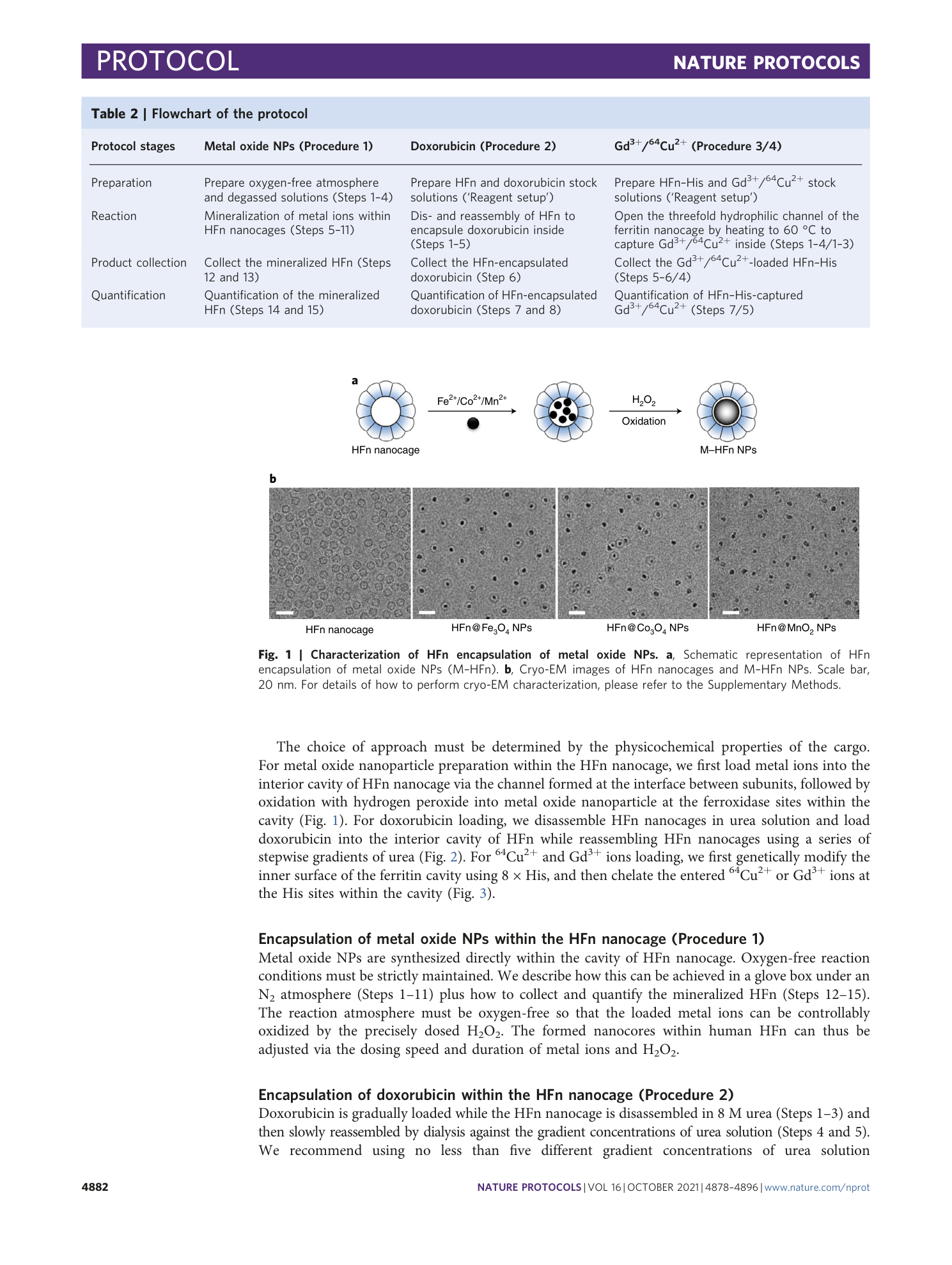 page-5