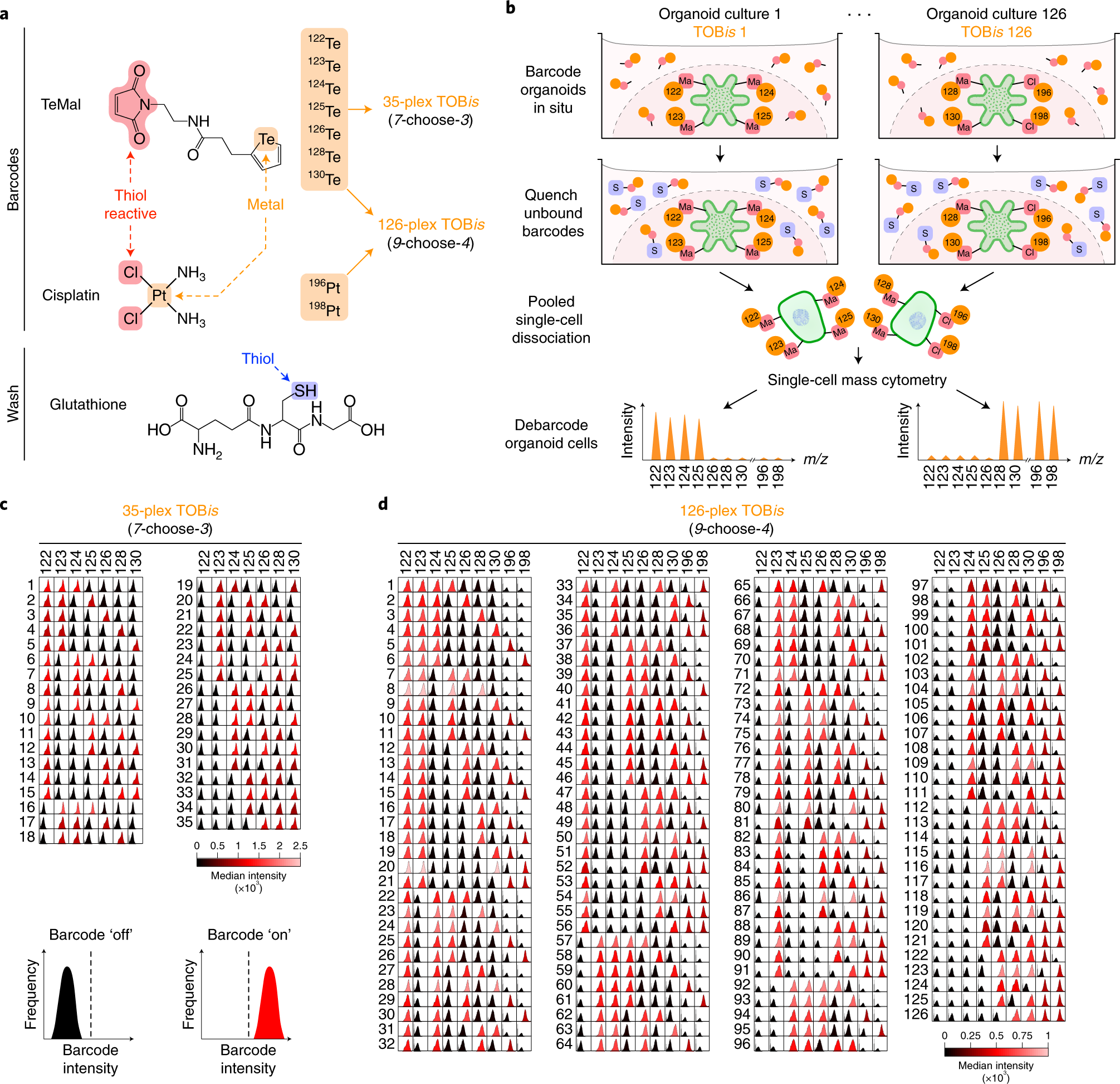 Fig. 3: TOBis multiplexing overview.