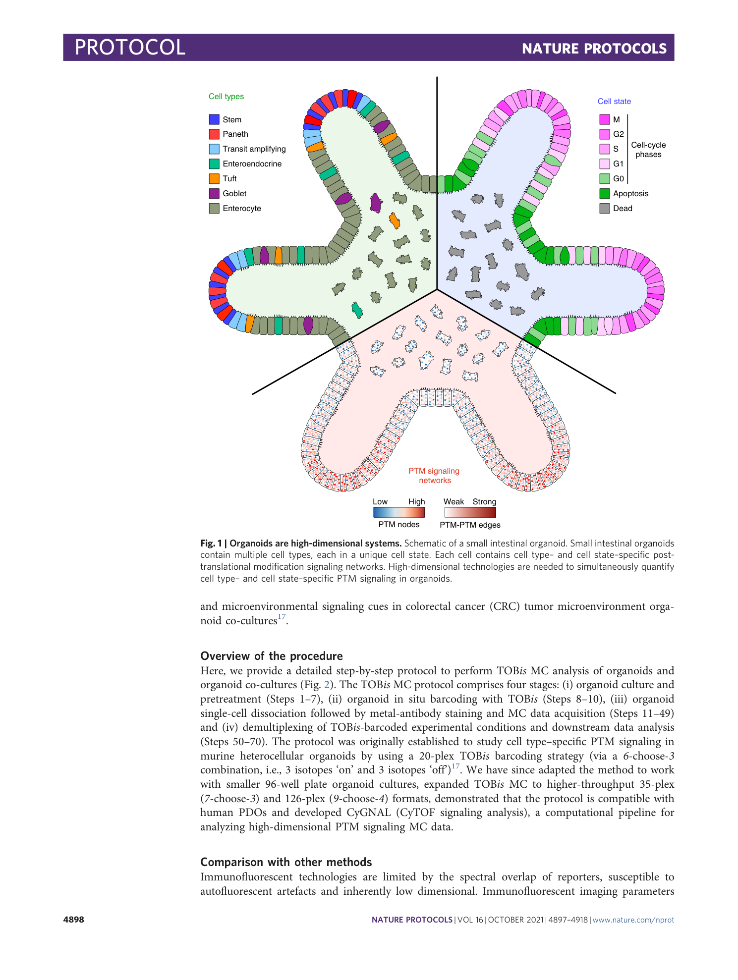 page-2