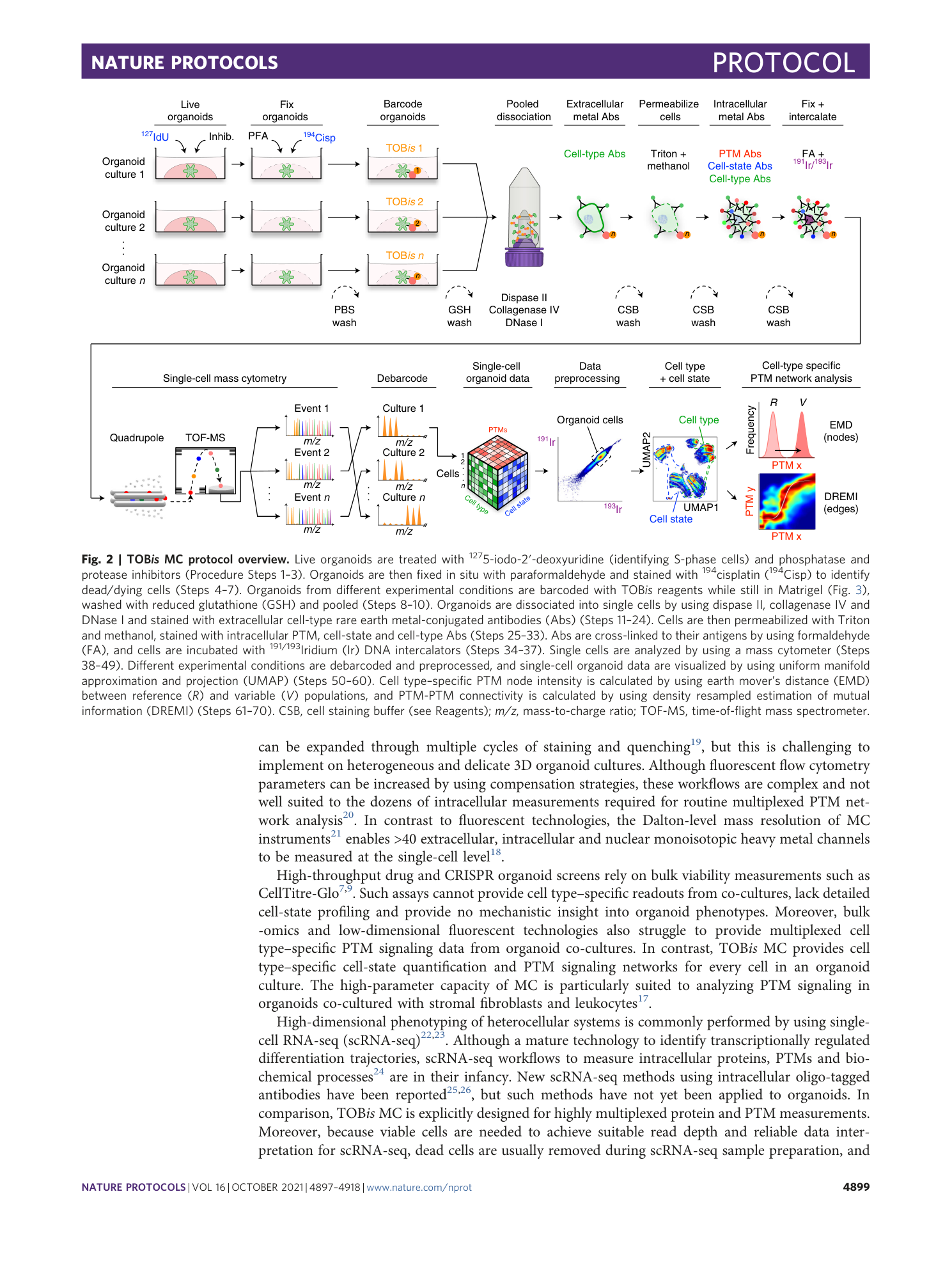 page-3