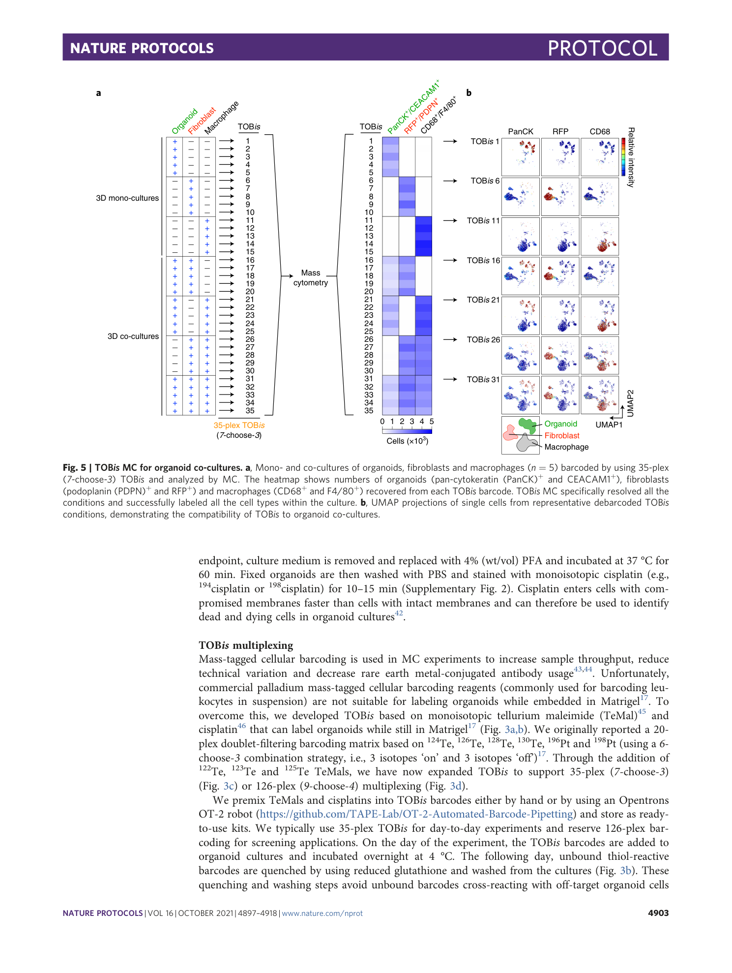 page-7