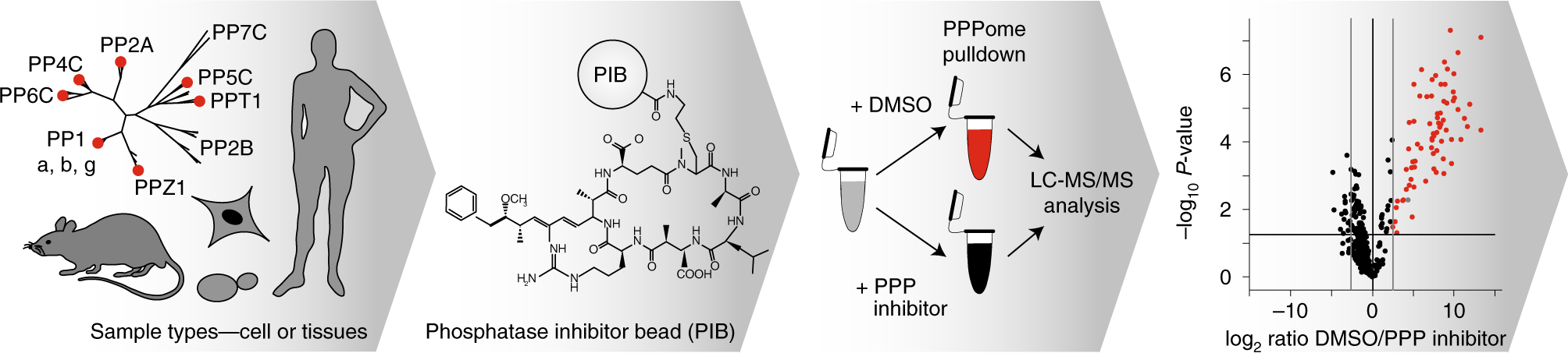 Fig. 2: PPPome discovery experiment.