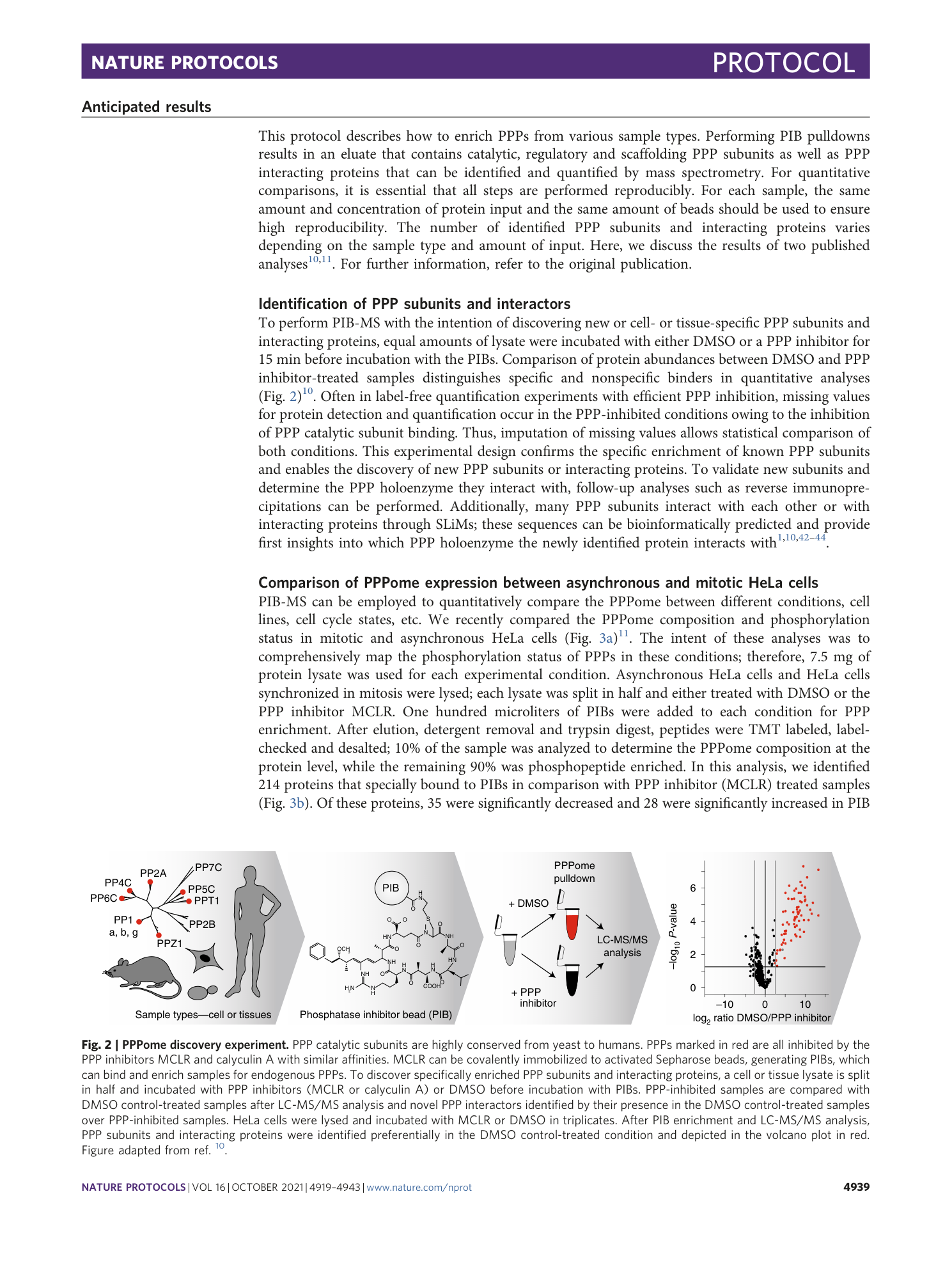 page-21