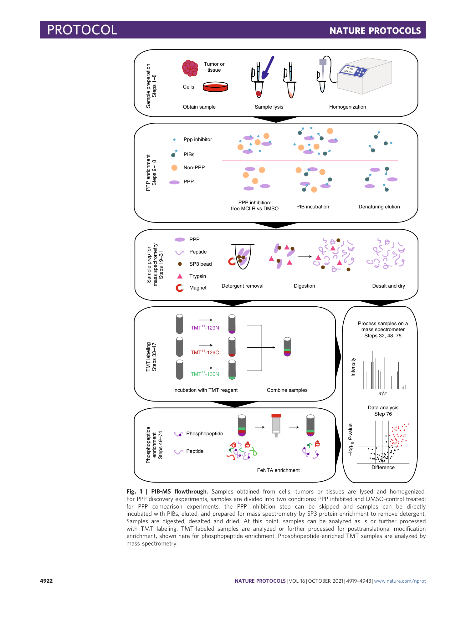 page-4