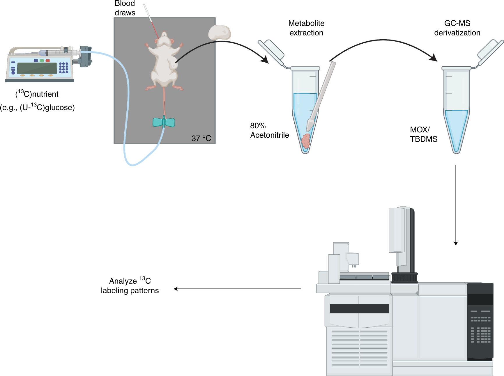 Fig. 2: Mouse infusion workflow.