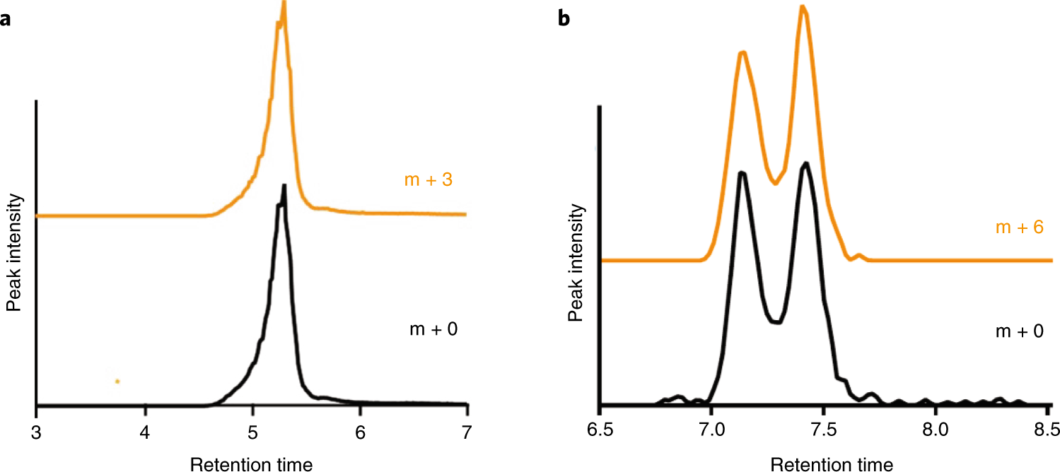 Fig. 4: Confirmation of [13C] peaks in HRMS.