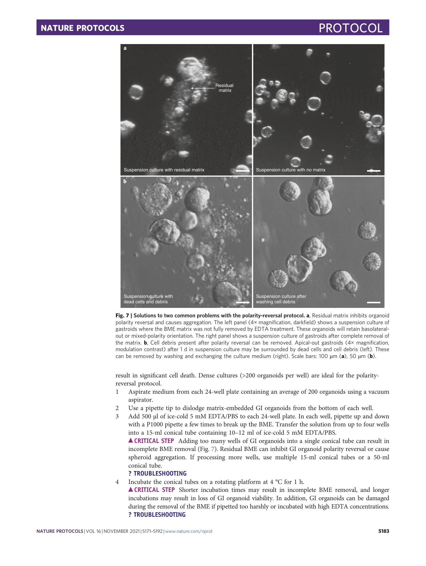 page-13