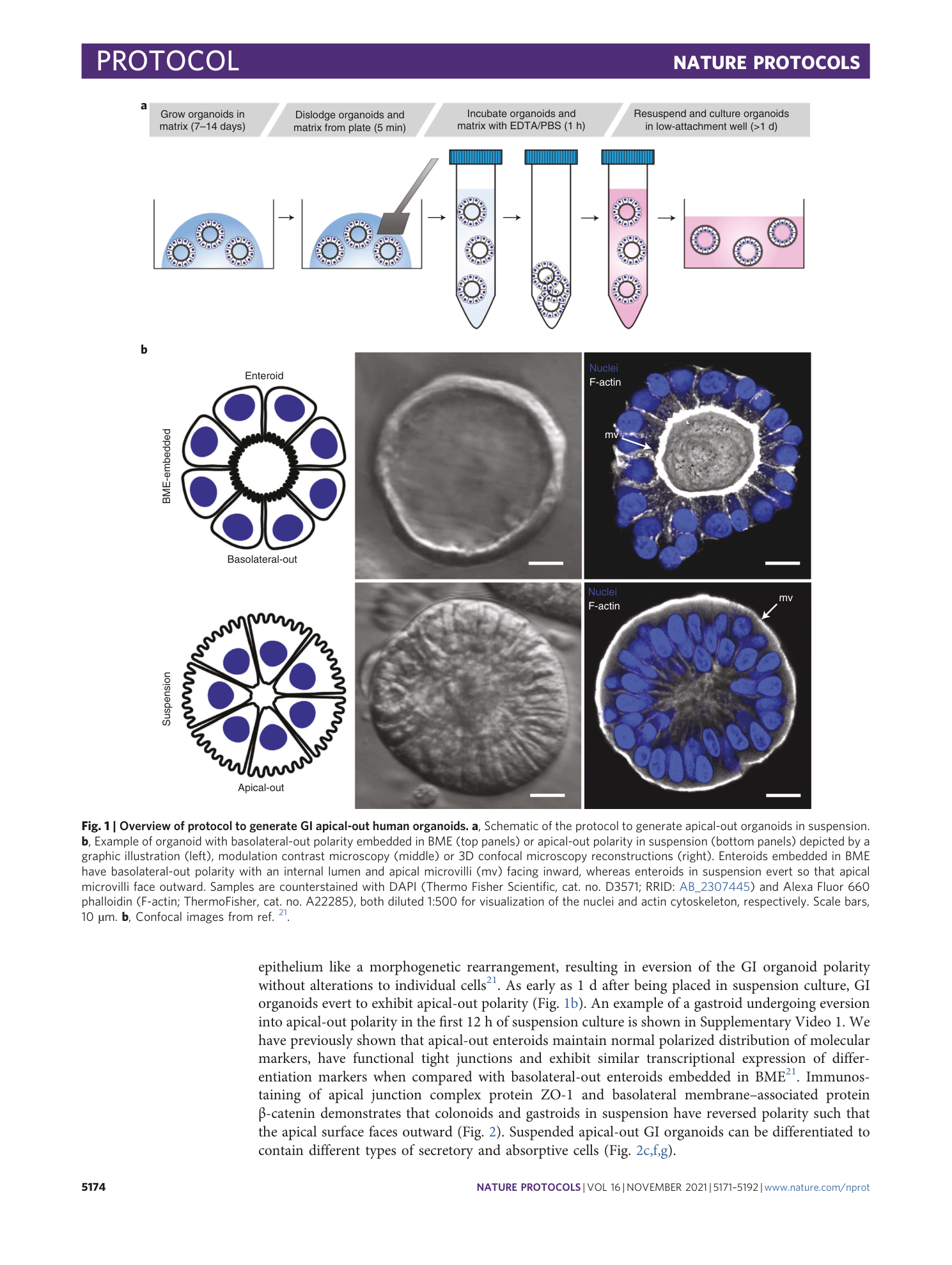 page-4