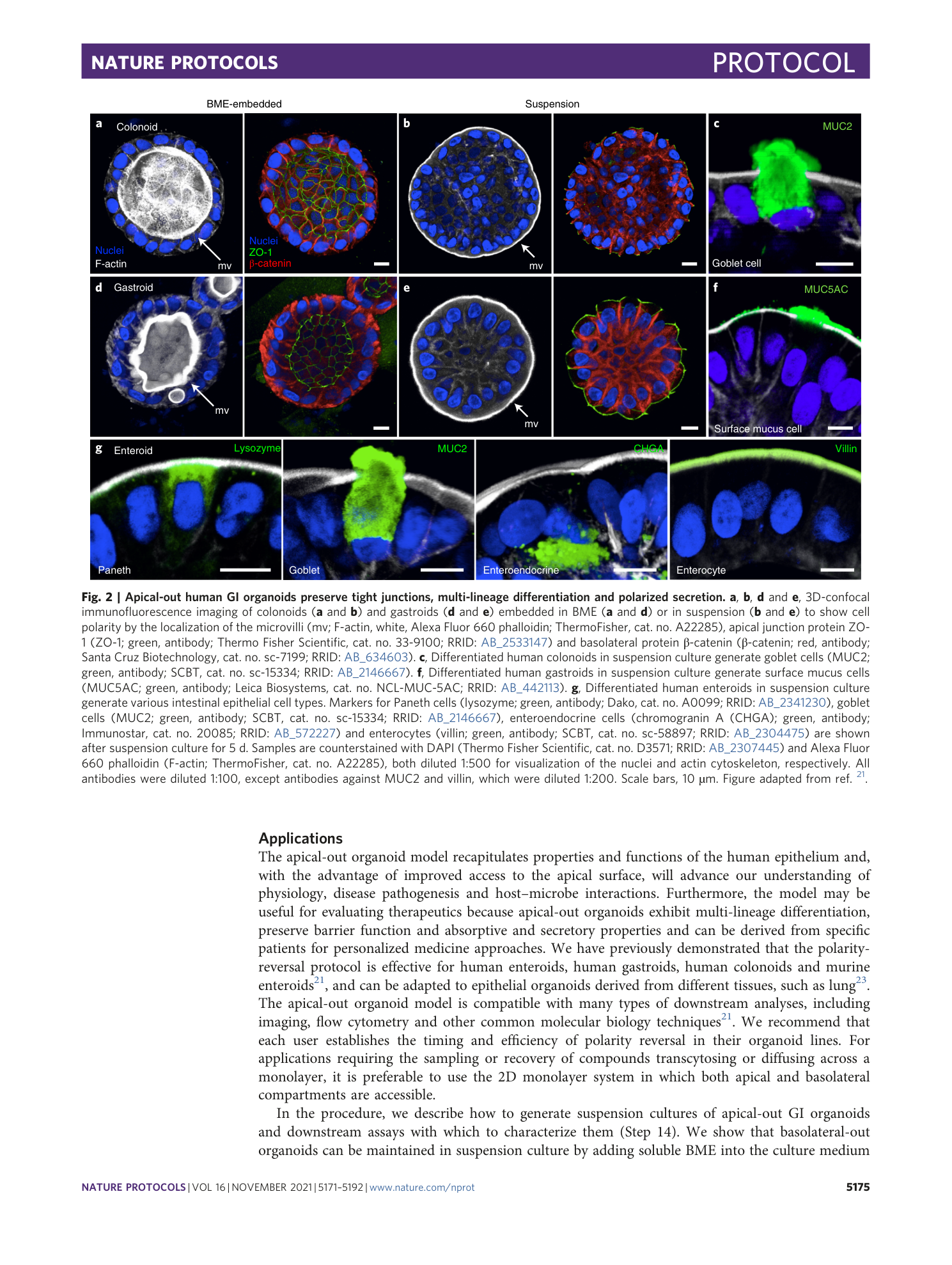 page-5