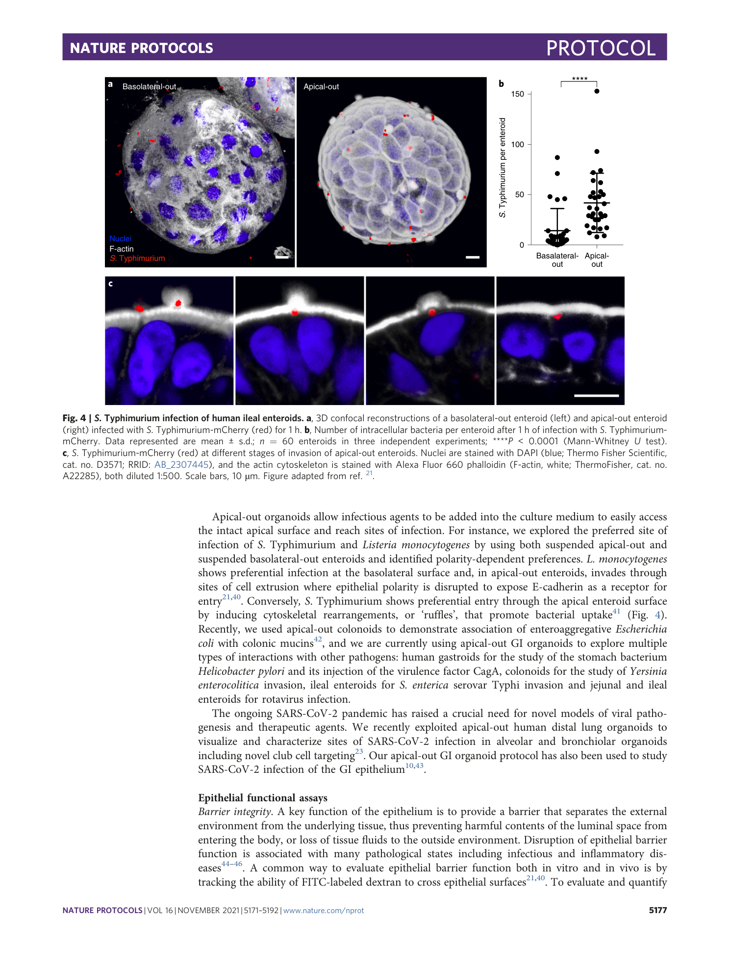 page-7
